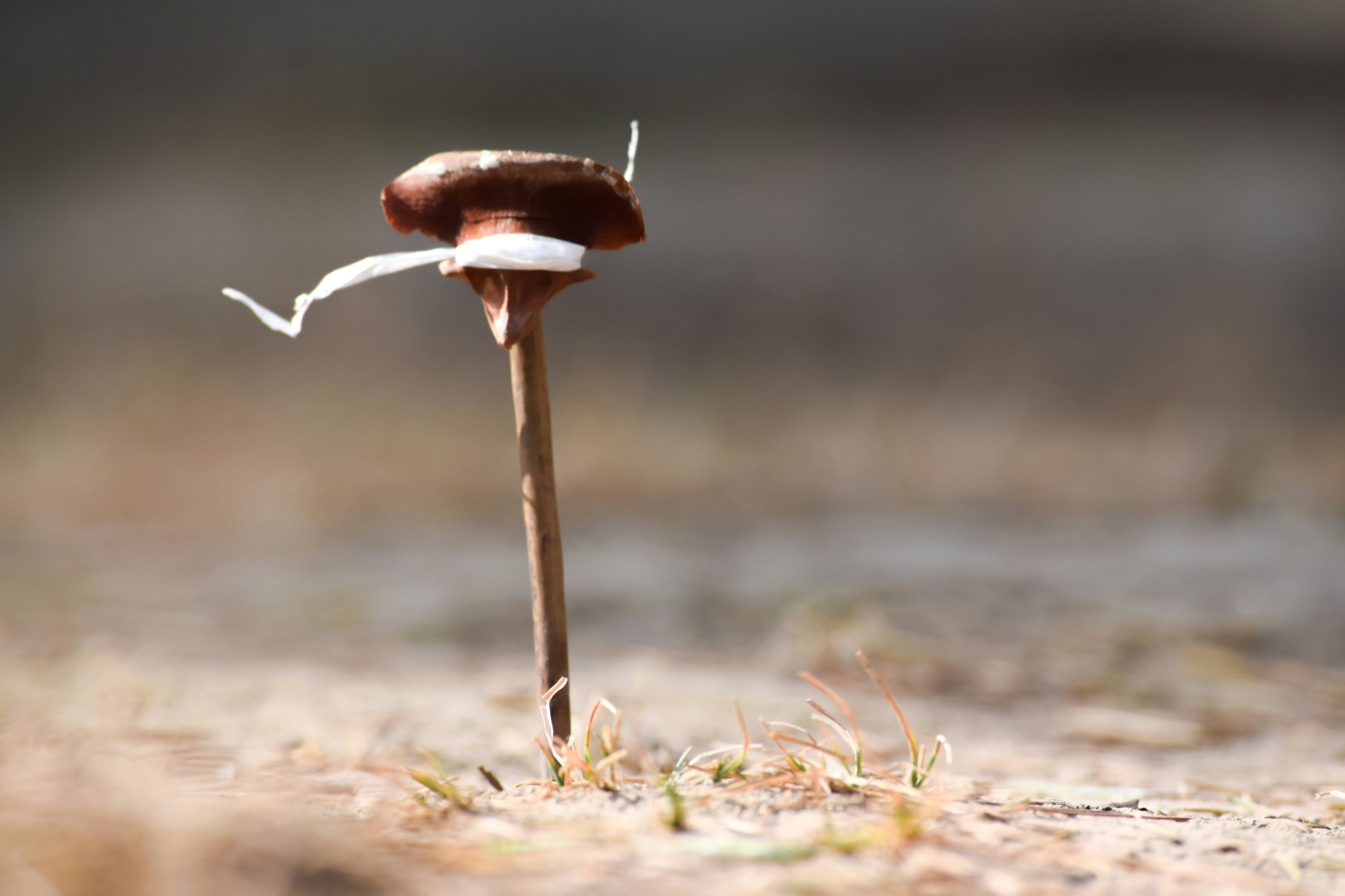 Free Unsplash photo from Himanshu Gangwar