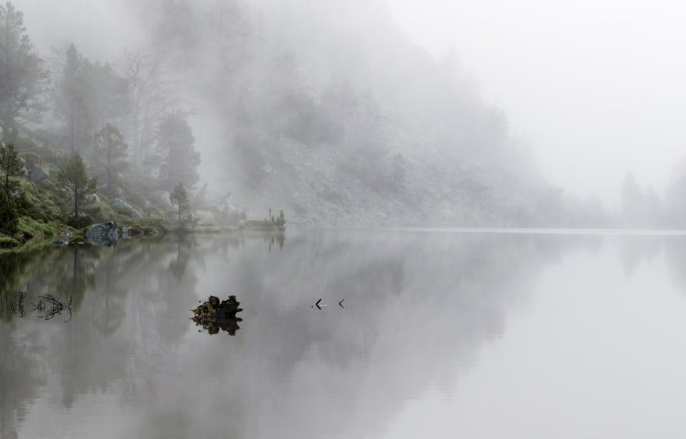 foggy mountain