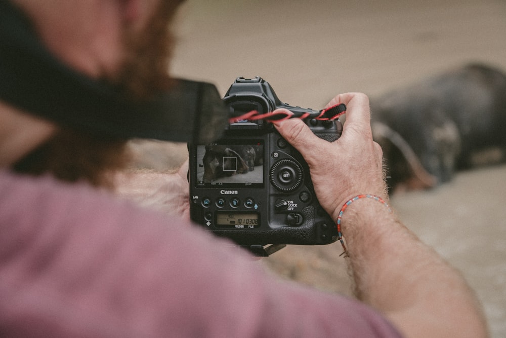 person holding black camera taking photo of animal