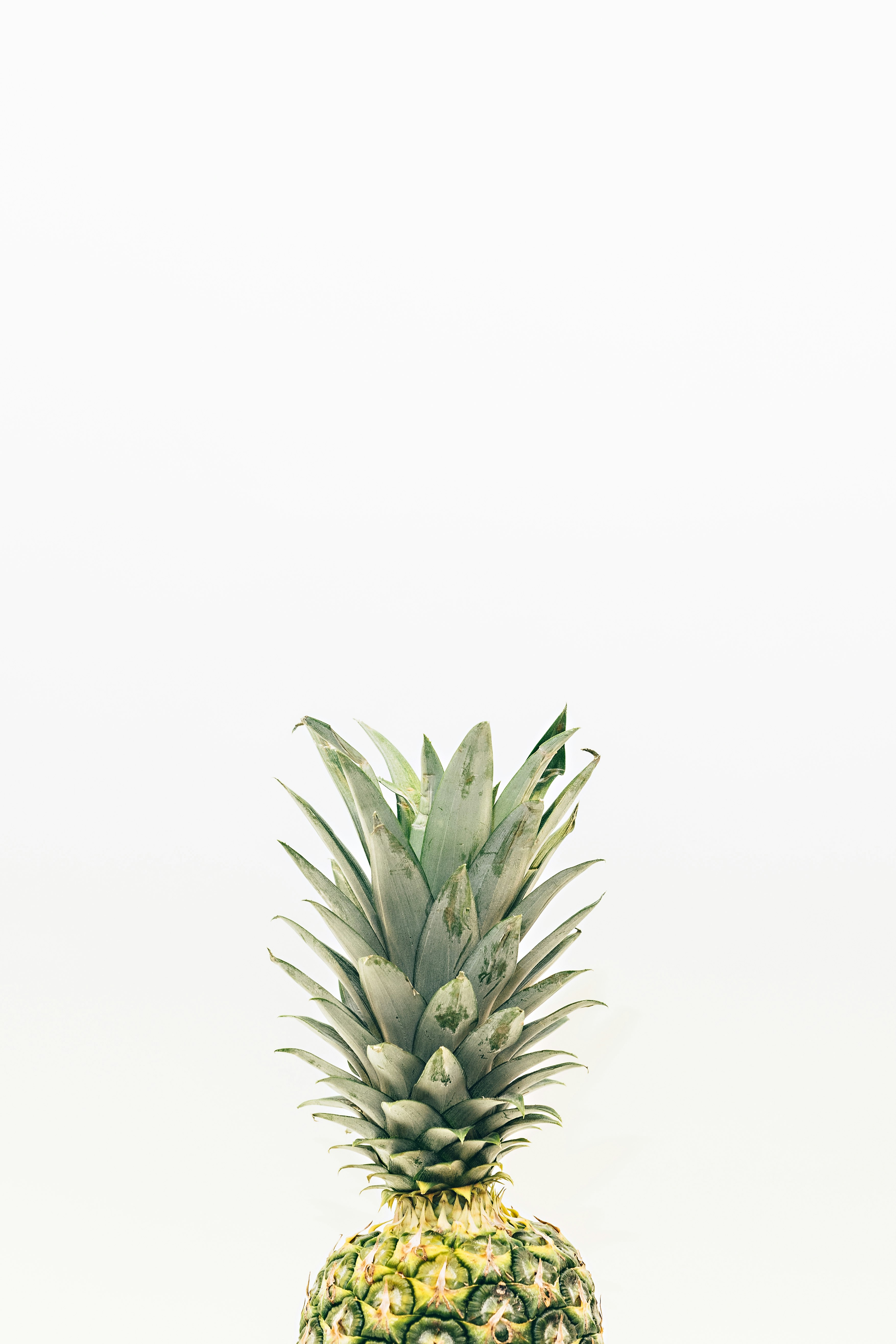 pineapple fruit