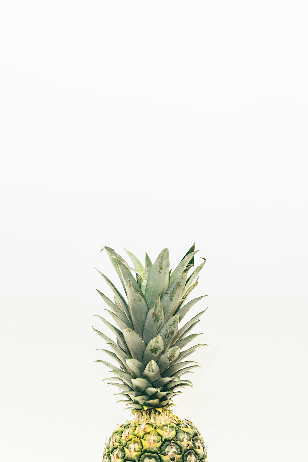 pineapple fruit