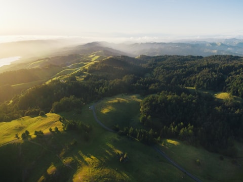 aerial photography of green mountains covered with green trees at daytime