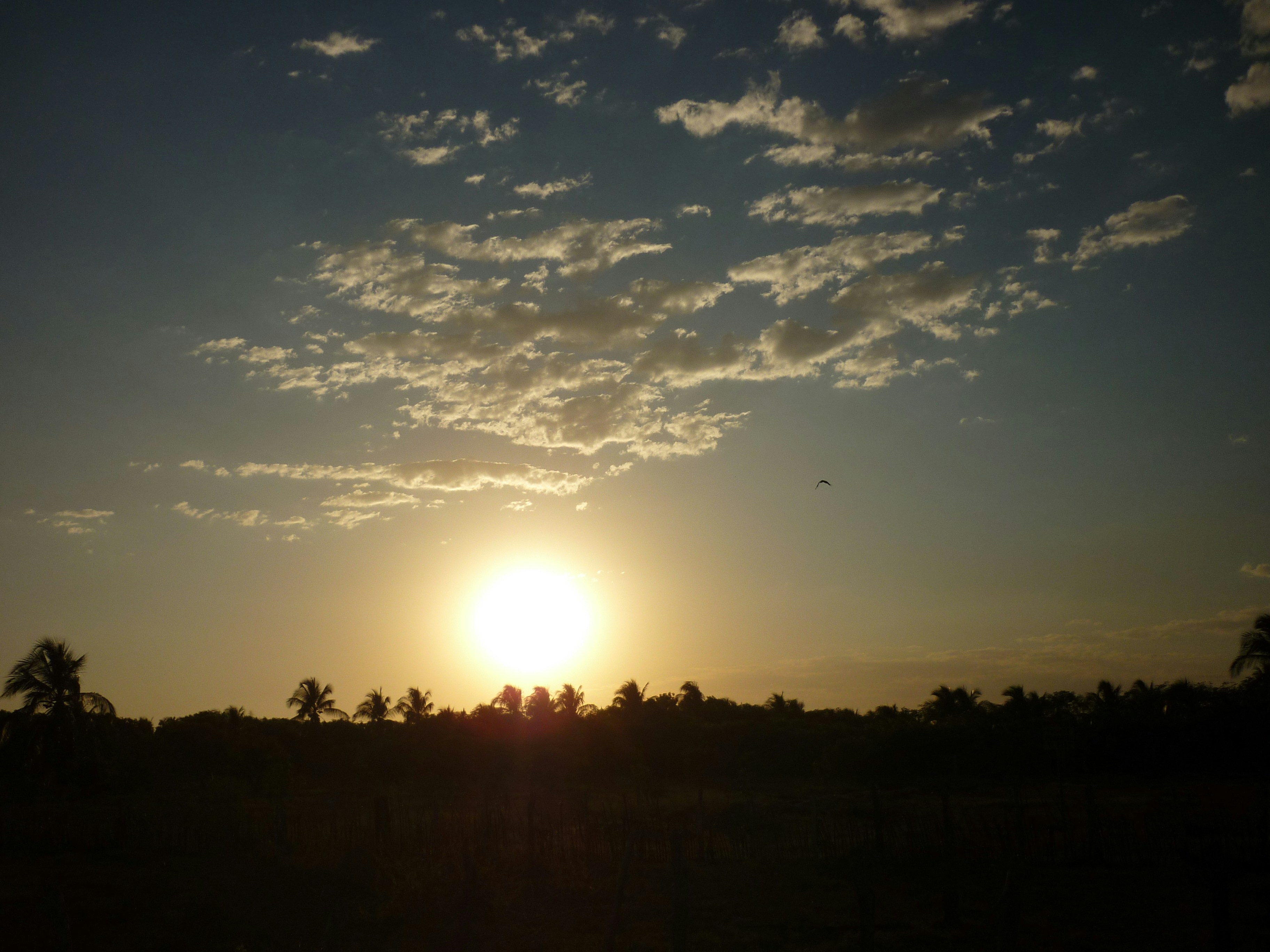 Free Unsplash photo from Carlos Aguilar