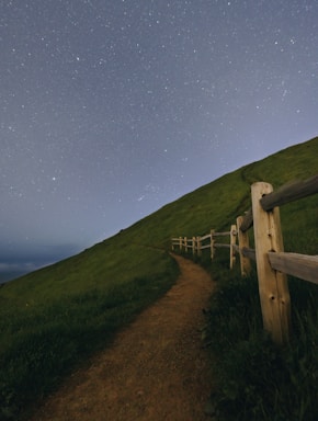 brown wooden fence on farm