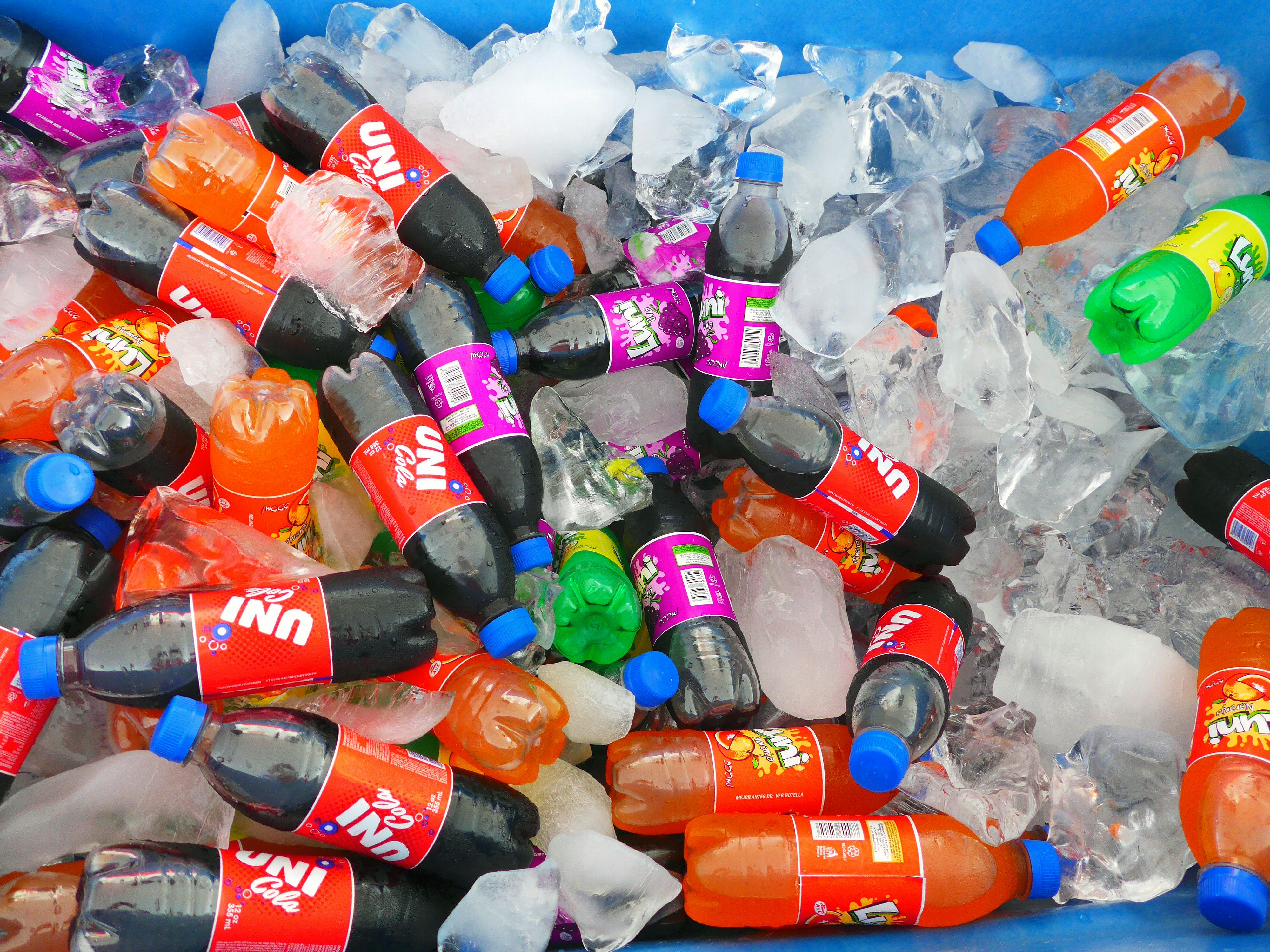 Free Unsplash photo from Ferran Garcia