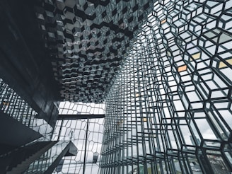 A striking architectural interior with a grid-like, honeycomb pattern on the ceiling and glass walls allowing natural light to enter. The geometric shapes create an intricate and modern aesthetic. An angled staircase is visible on the left, leading upwards.
