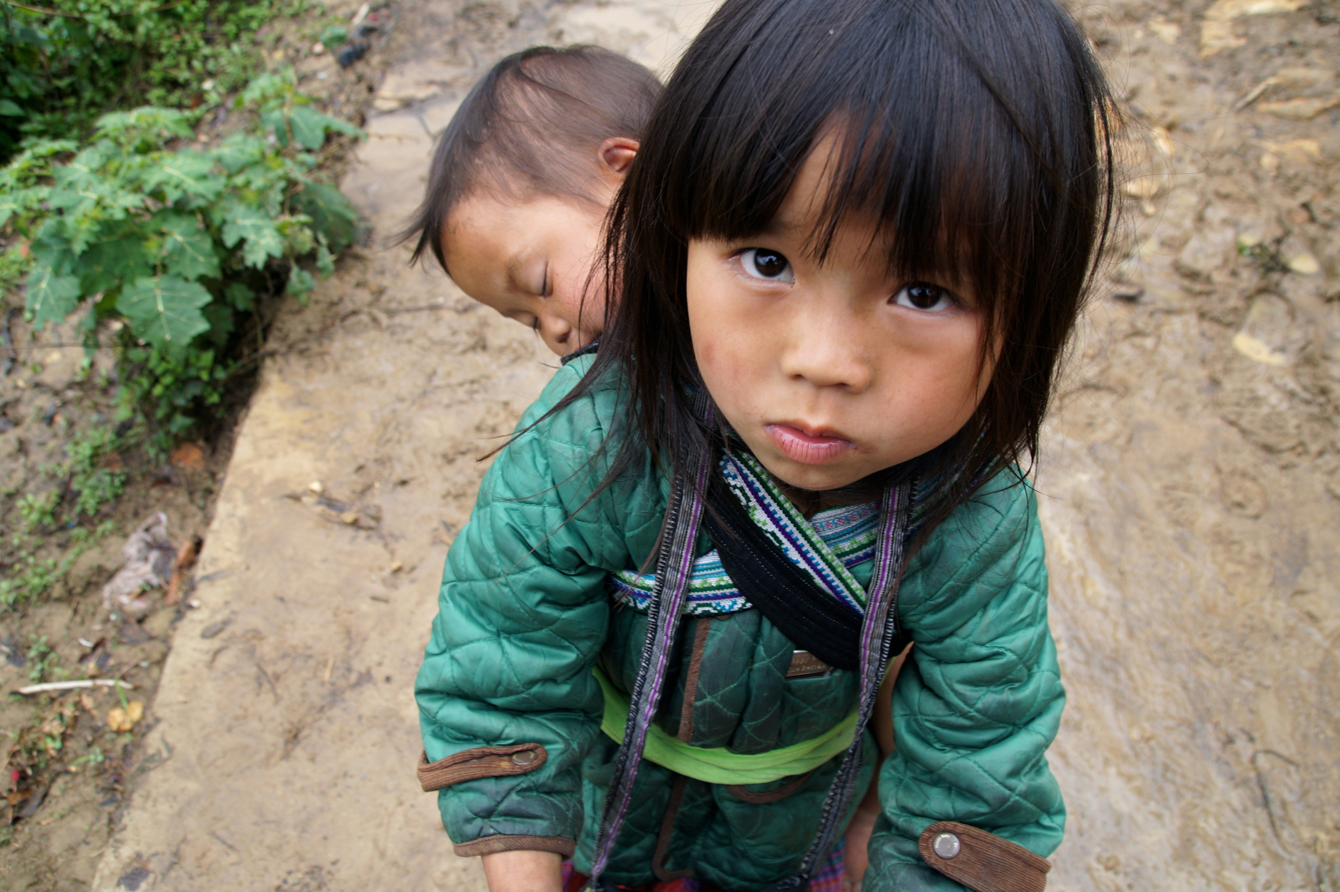 Free Unsplash photo from Christine Berg