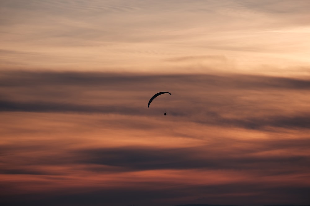 person gliding parachute in sky