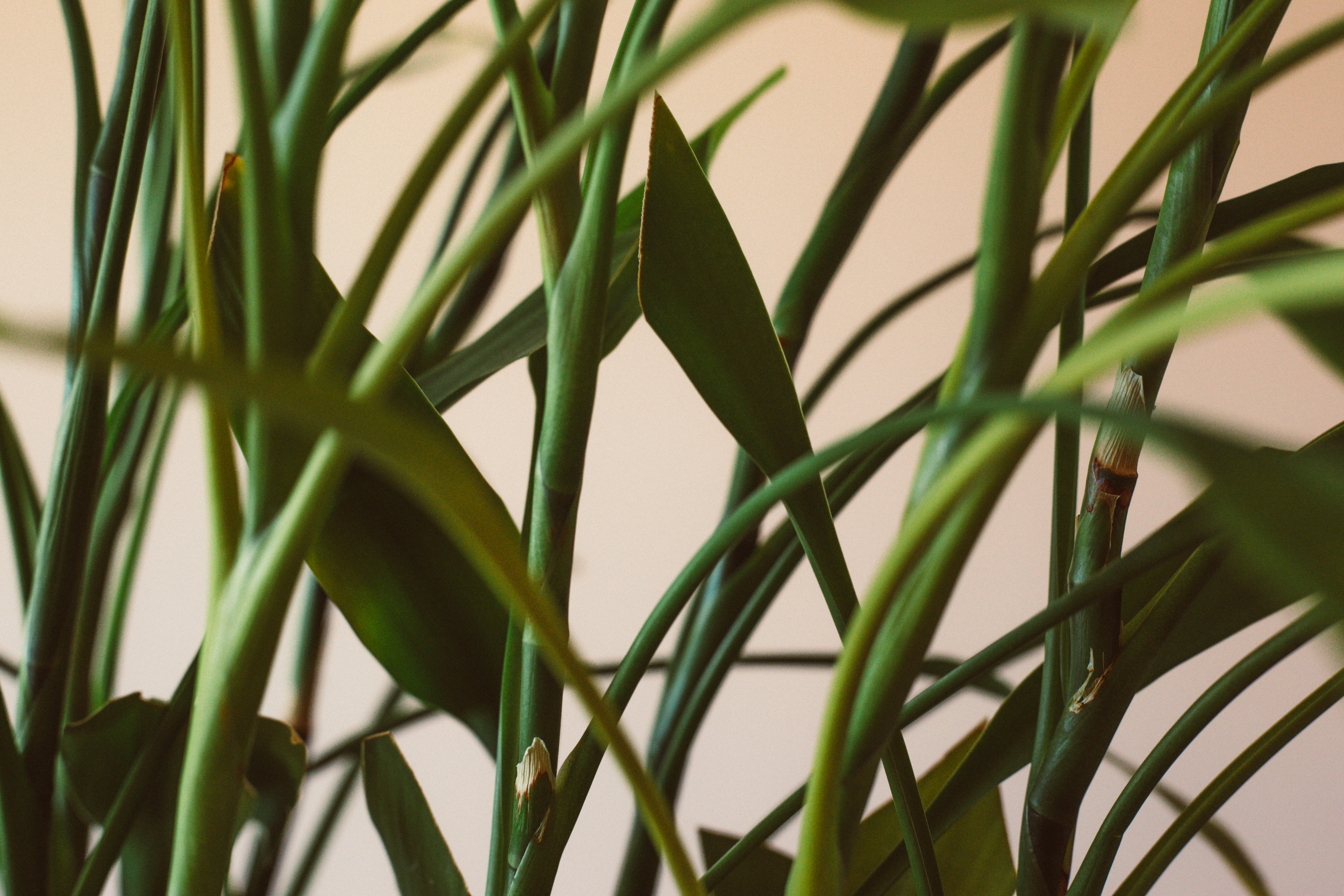 Free Unsplash photo from Darren Chan