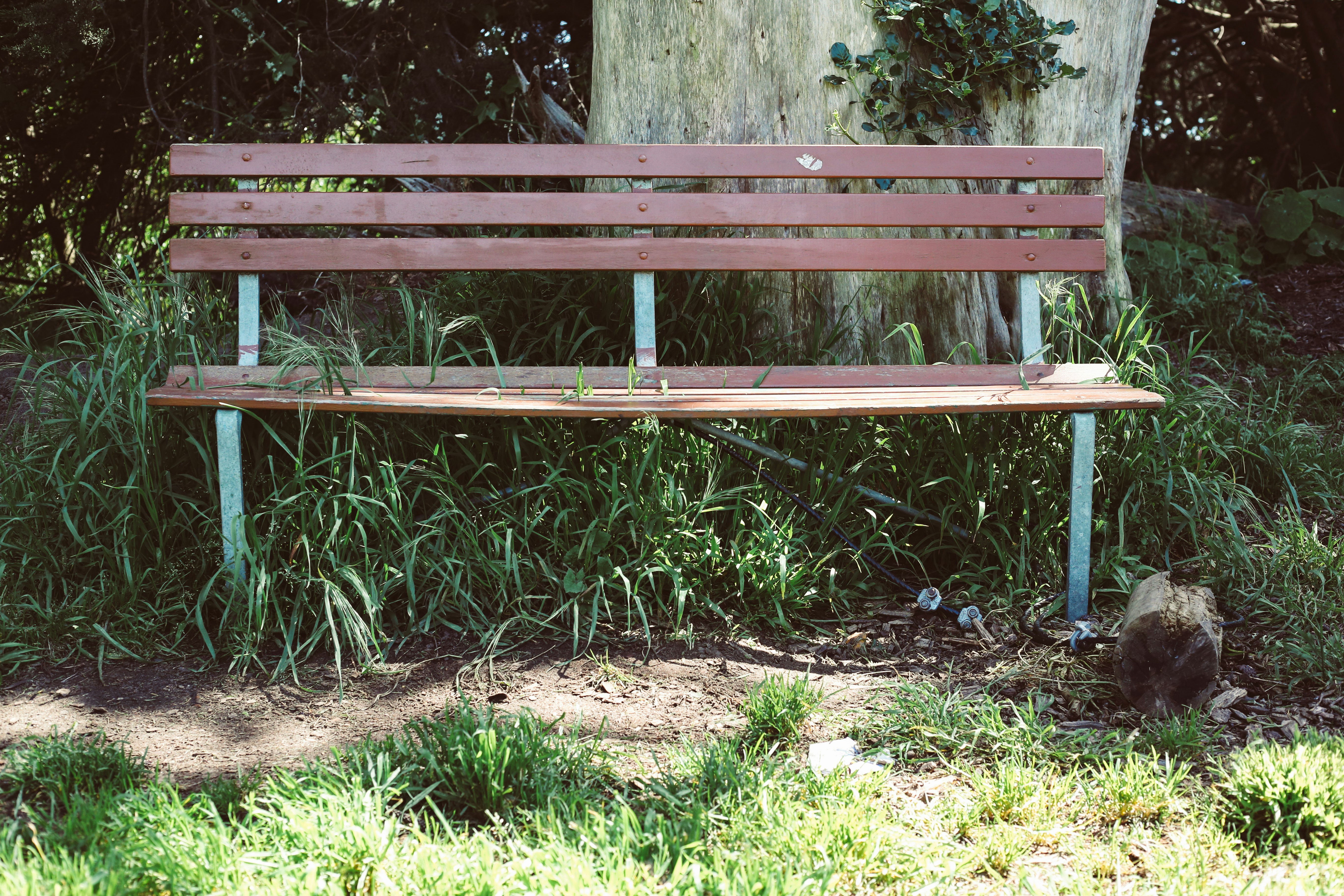 Free Unsplash photo from Darren Chan