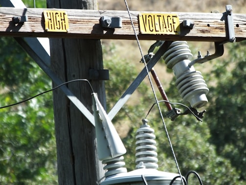A wooden utility pole featuring transformers and insulators with a 'High Voltage' warning sign. The background is blurred with greenery, indicating a natural outdoor setting.
