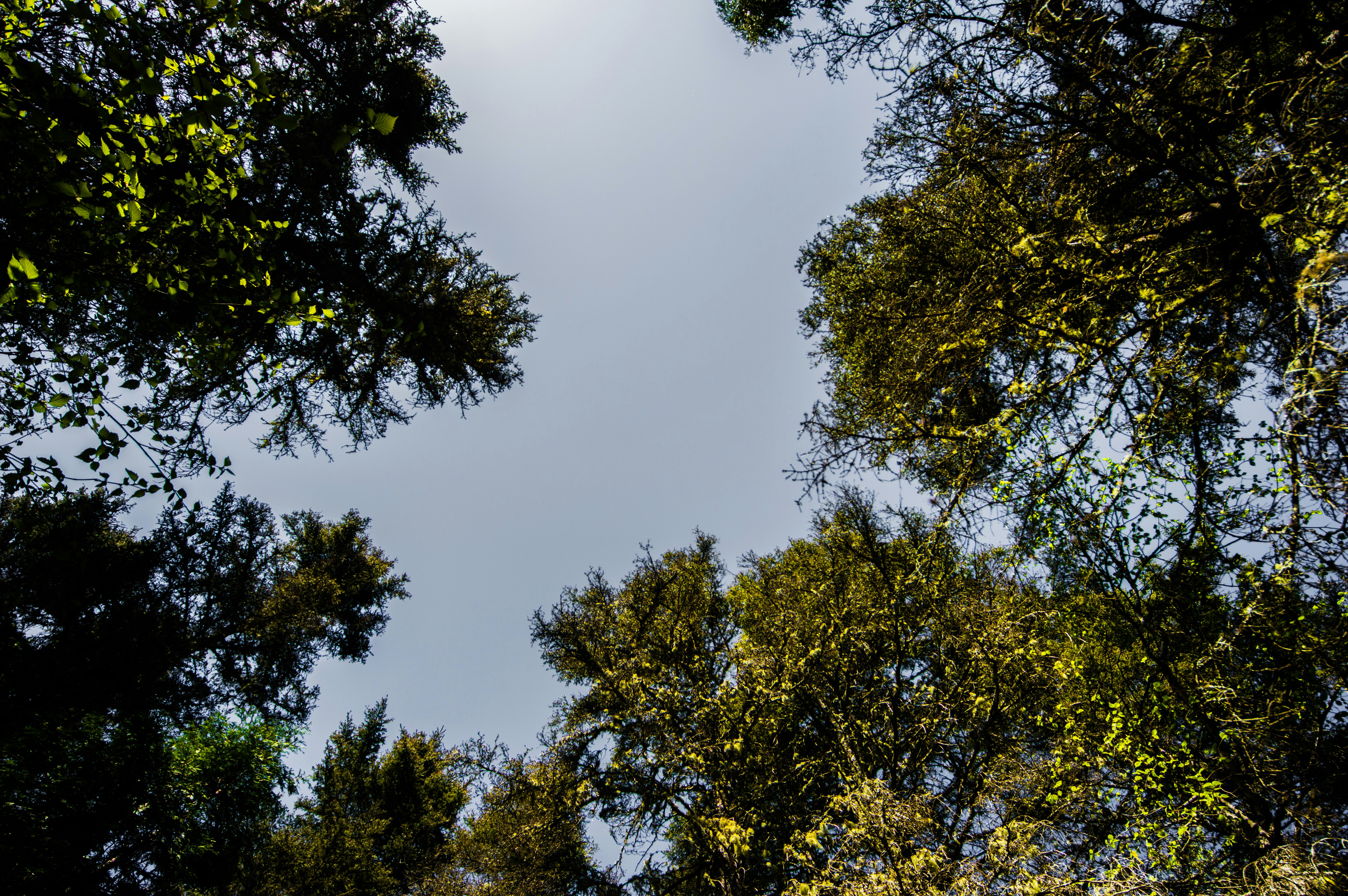 Free Unsplash photo from Julien Samson