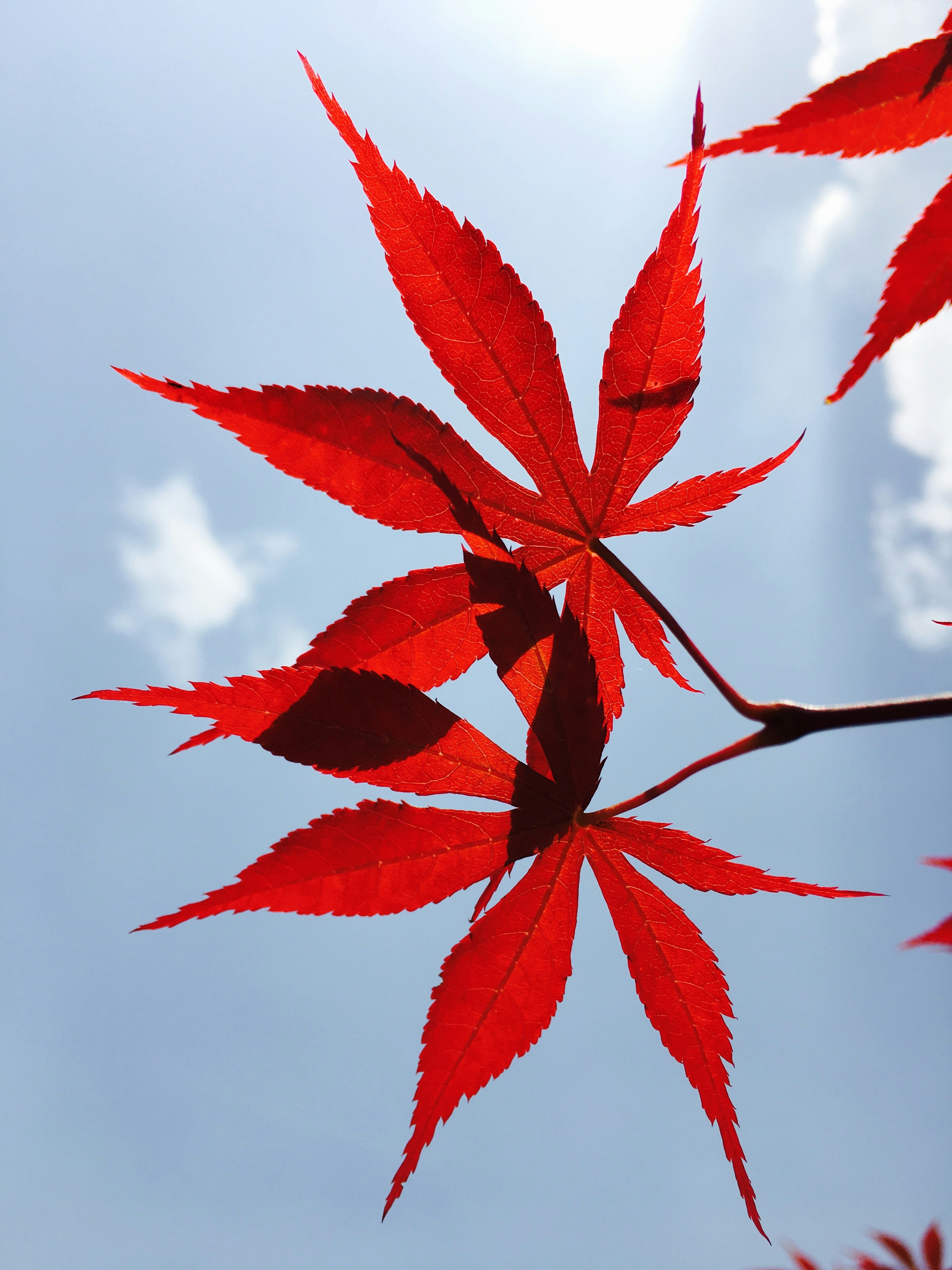 Free Unsplash photo from 泽新 李