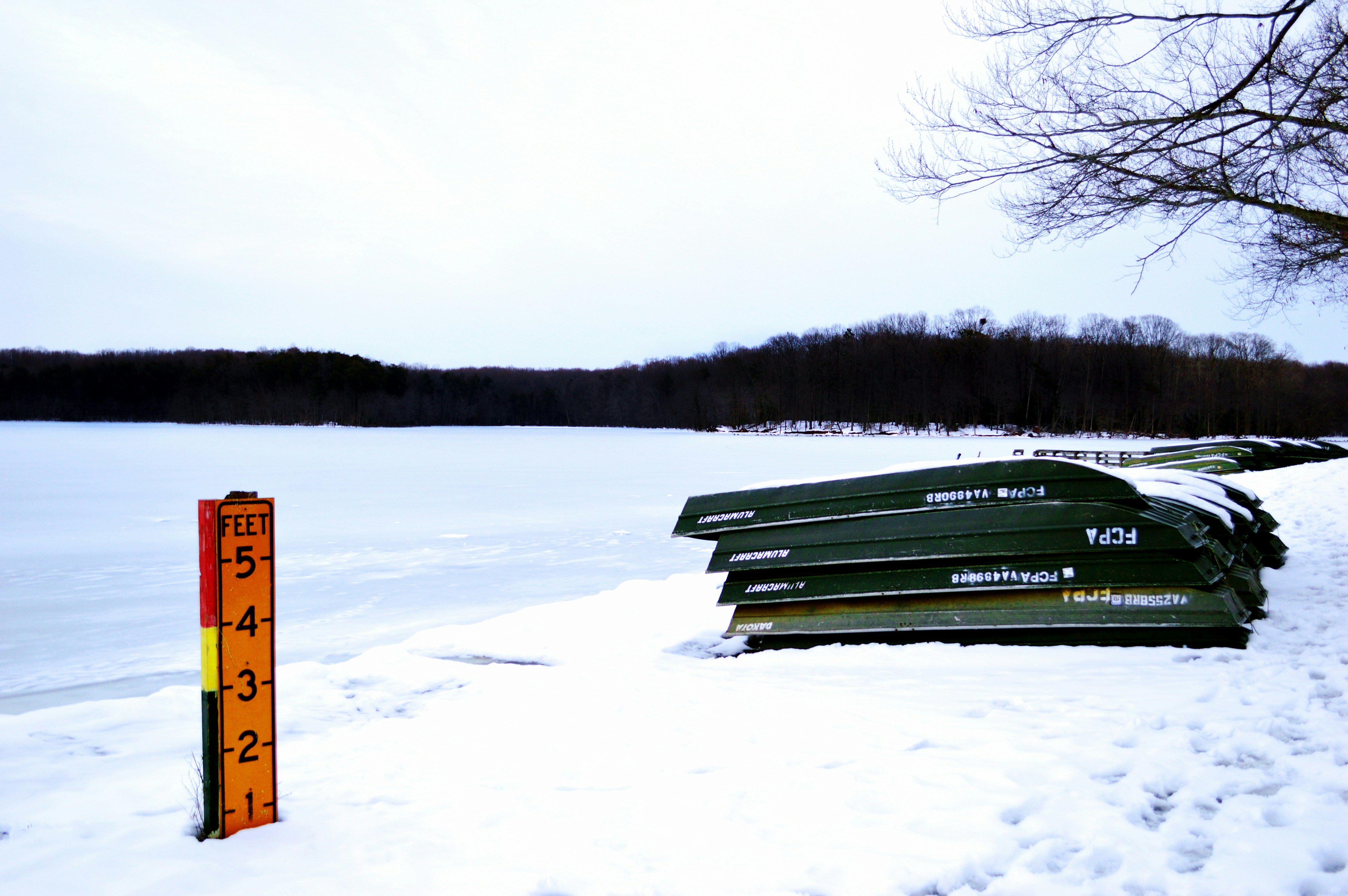 Free Unsplash photo from Mister Holmes