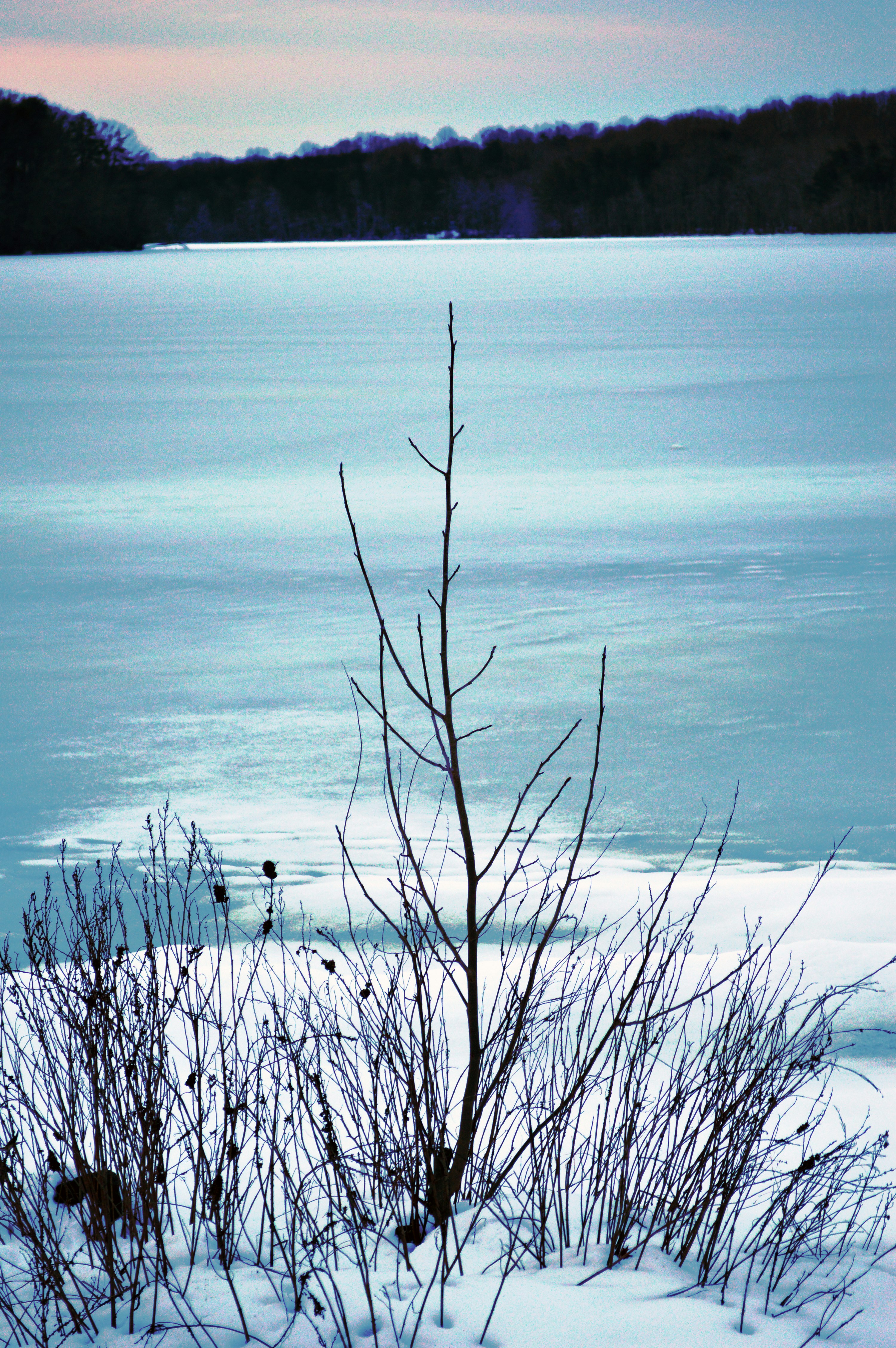 Free Unsplash photo from Mister Holmes