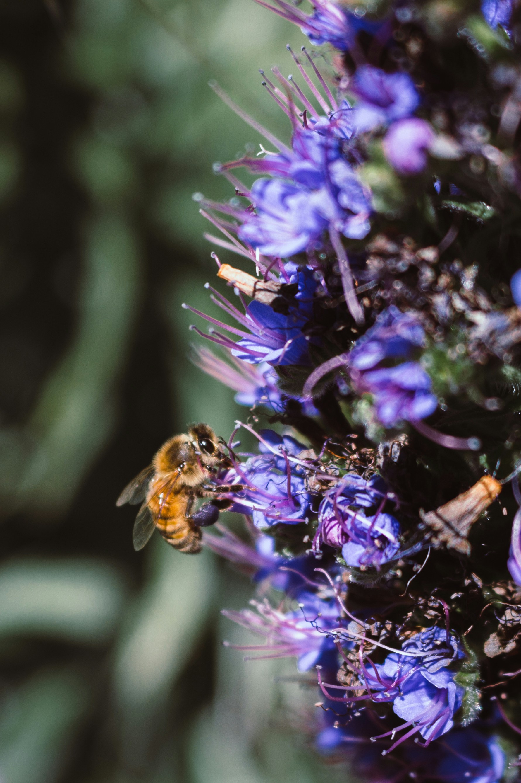 Free Elizabeth Gamble Garden Image On Unsplash