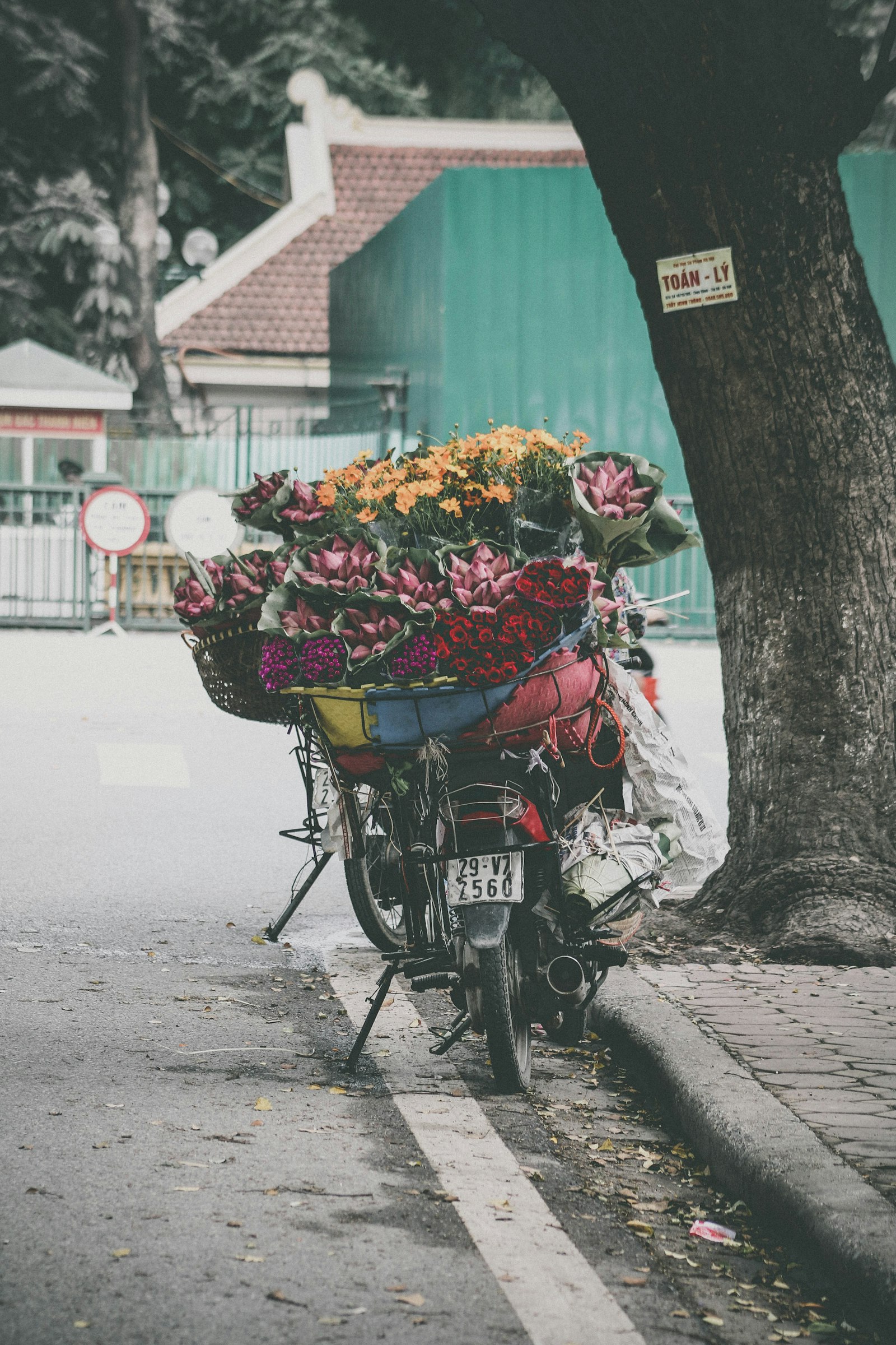 Canon EOS 70D + Canon EF 75-300mm f/4-5.6 USM sample photo. Assorted-color petaled flower lot photography