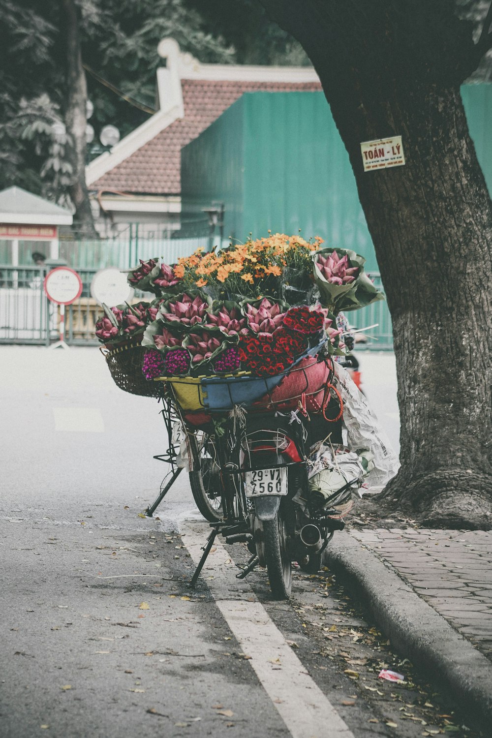 assorted-color petaled flower lot on top motorcycle