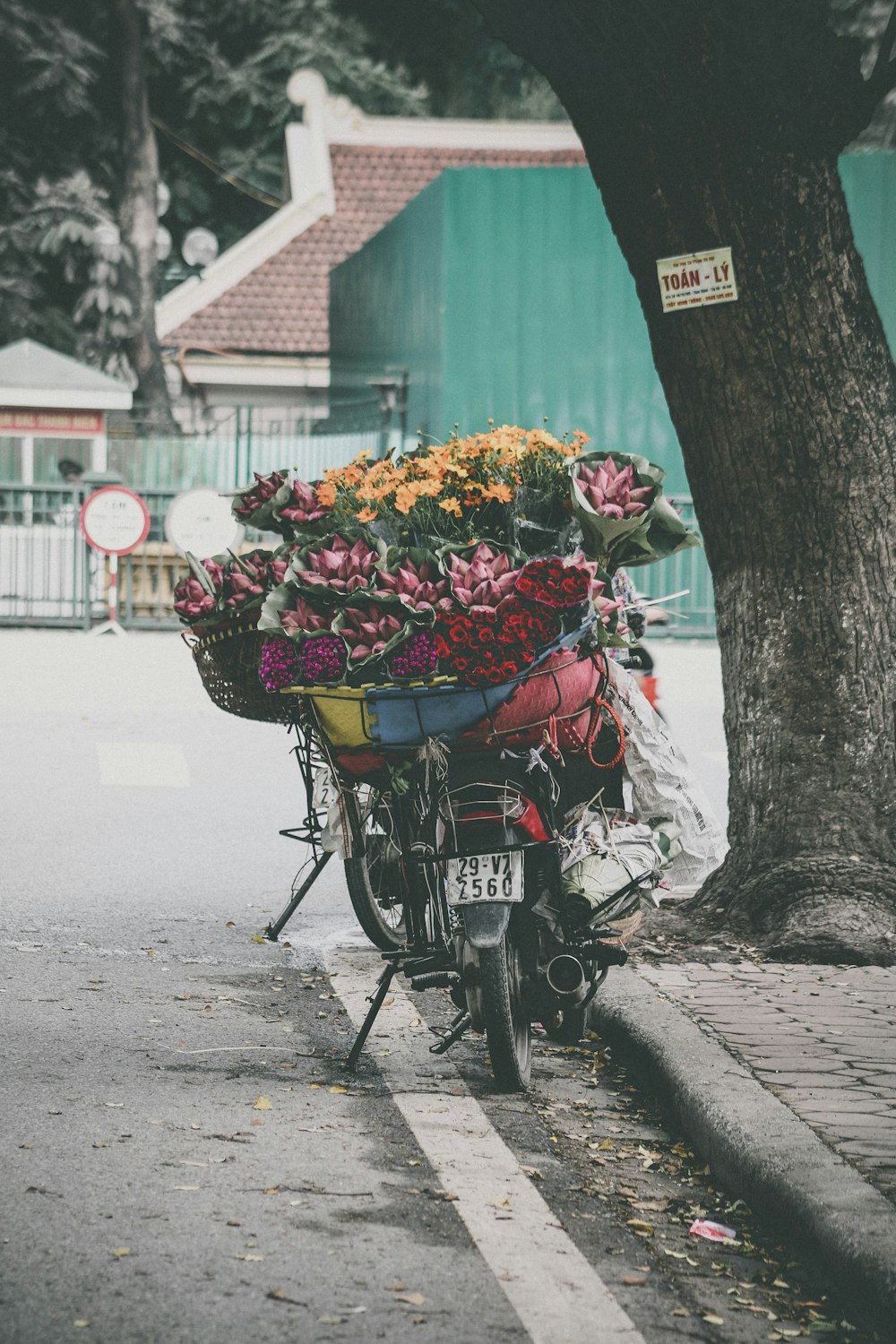 Lote de flores de pétalas de cores variadas na motocicleta superior