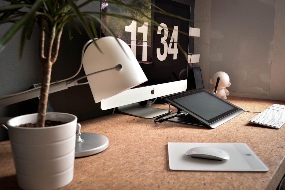 white desk lamp near green potted plant on table