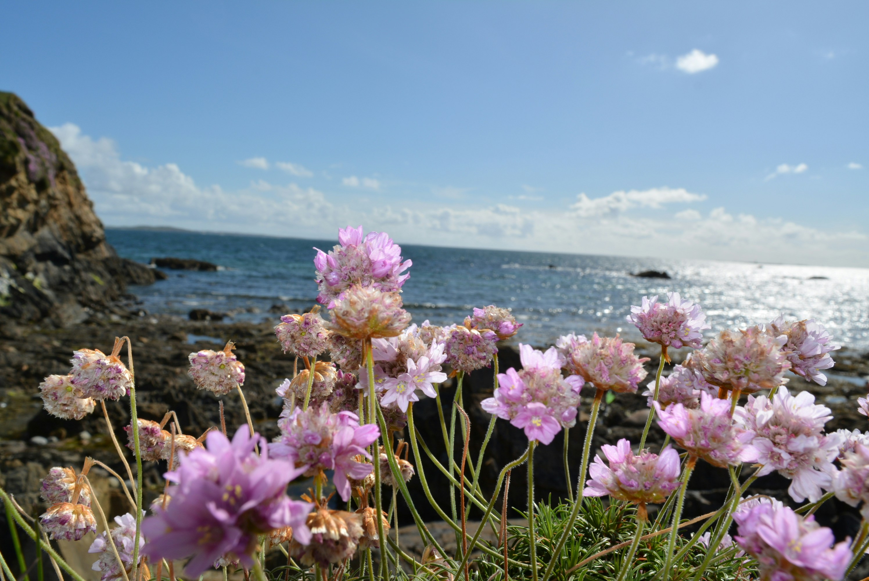 Free Unsplash photo from James McConville