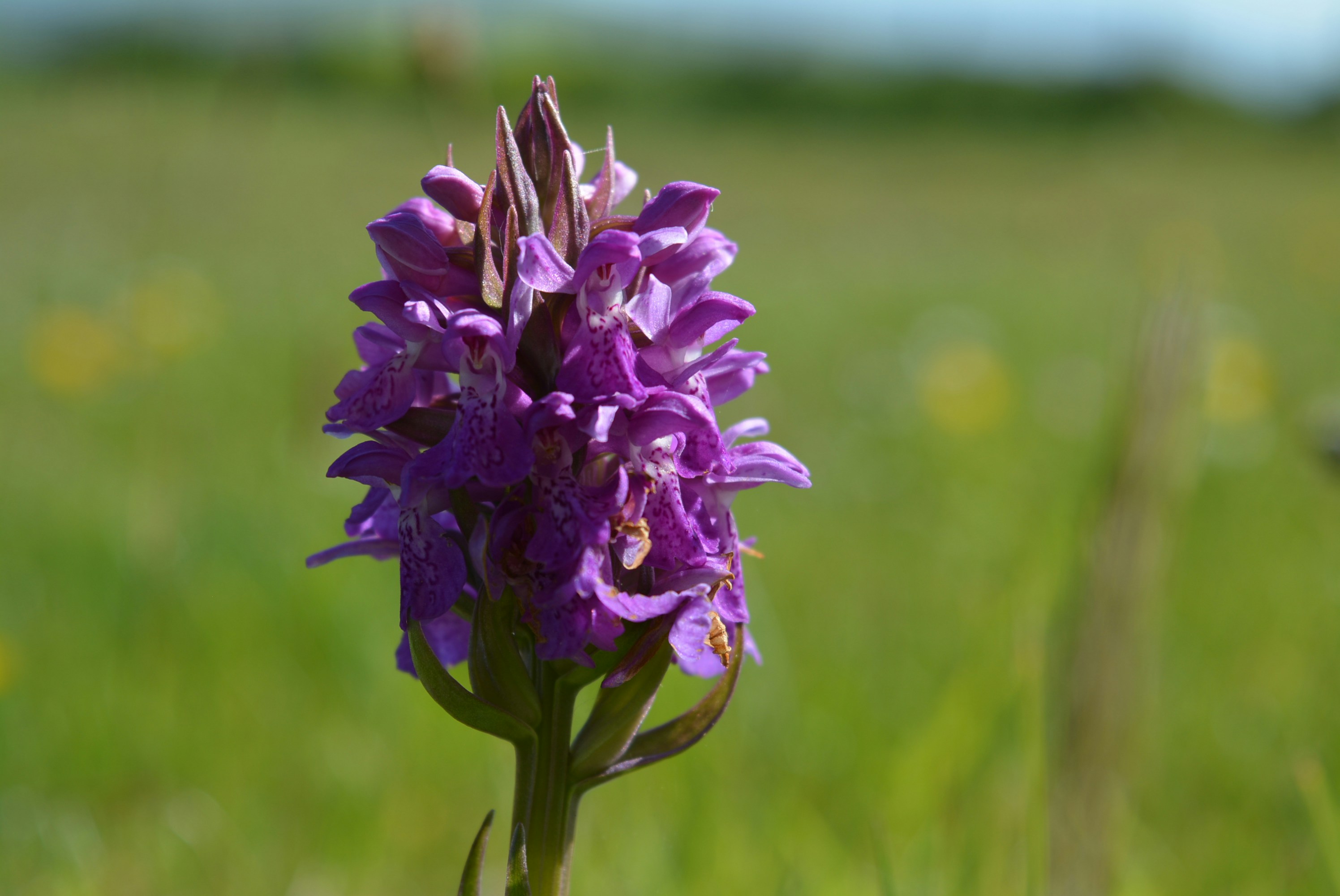 Free Unsplash photo from James McConville