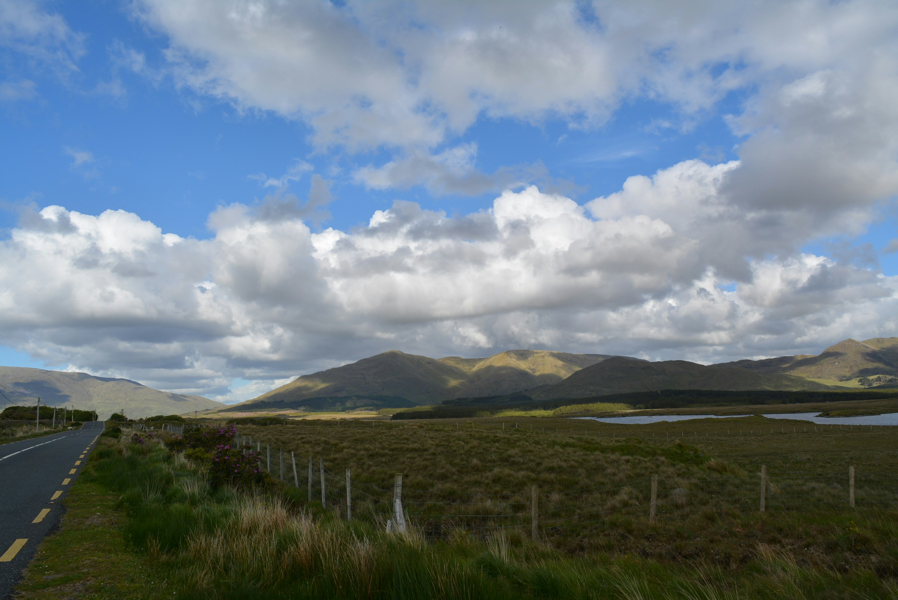 Free Unsplash photo from James McConville