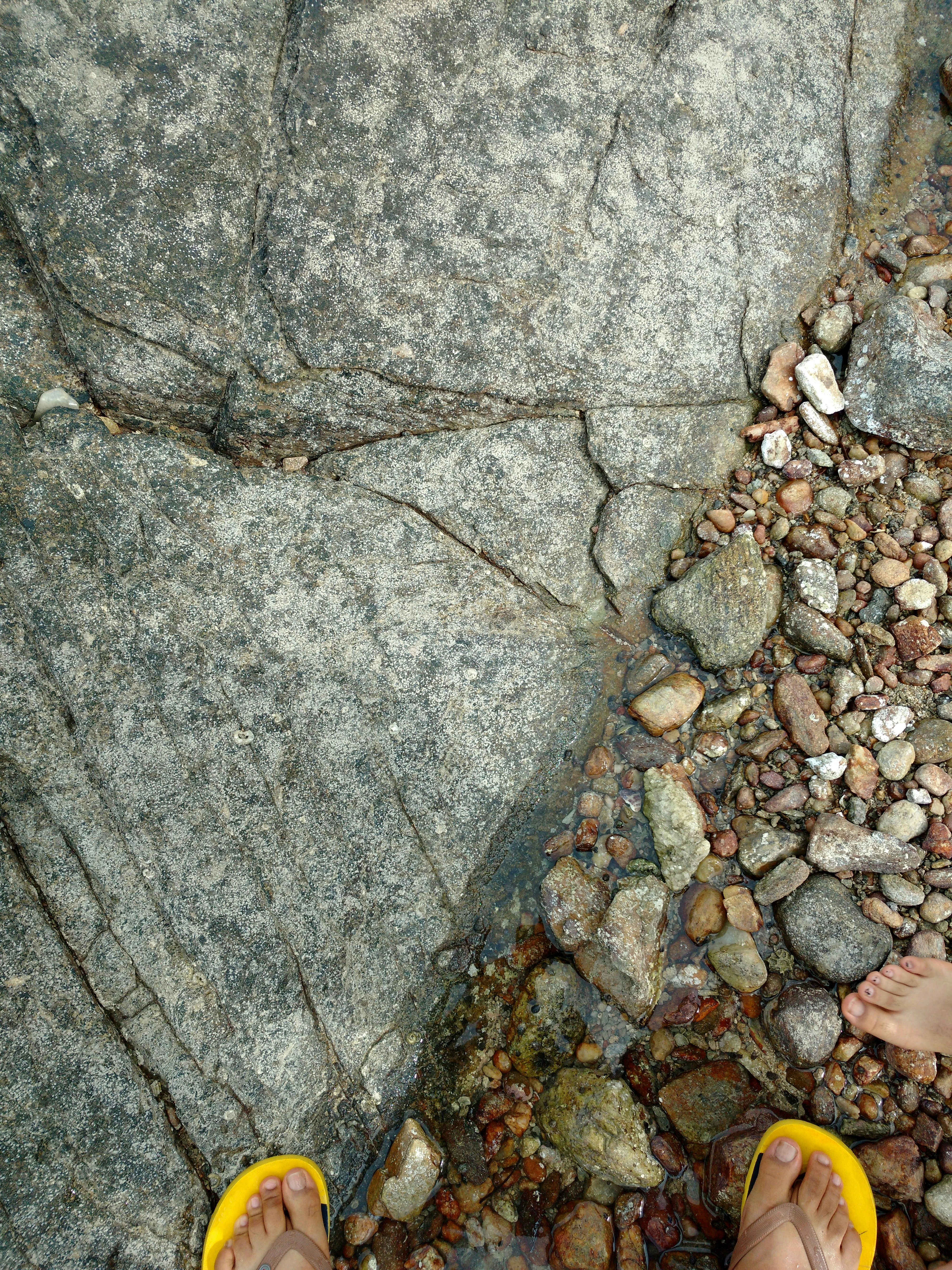 Free Unsplash photo from Jason Sequeira