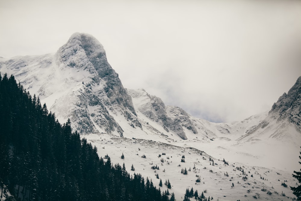 white snow on mountains