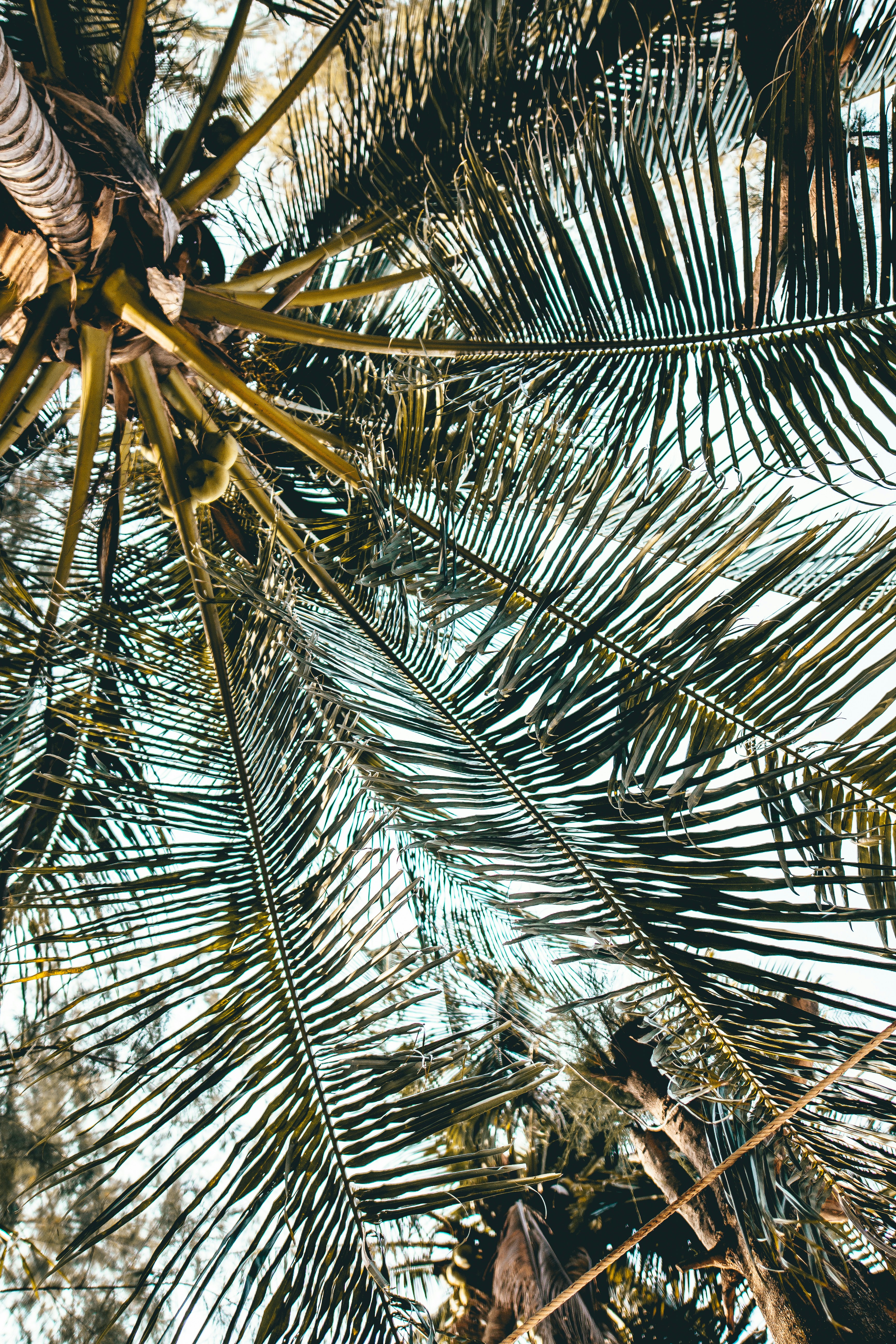 Free Unsplash photo from Siravit Phiwondee