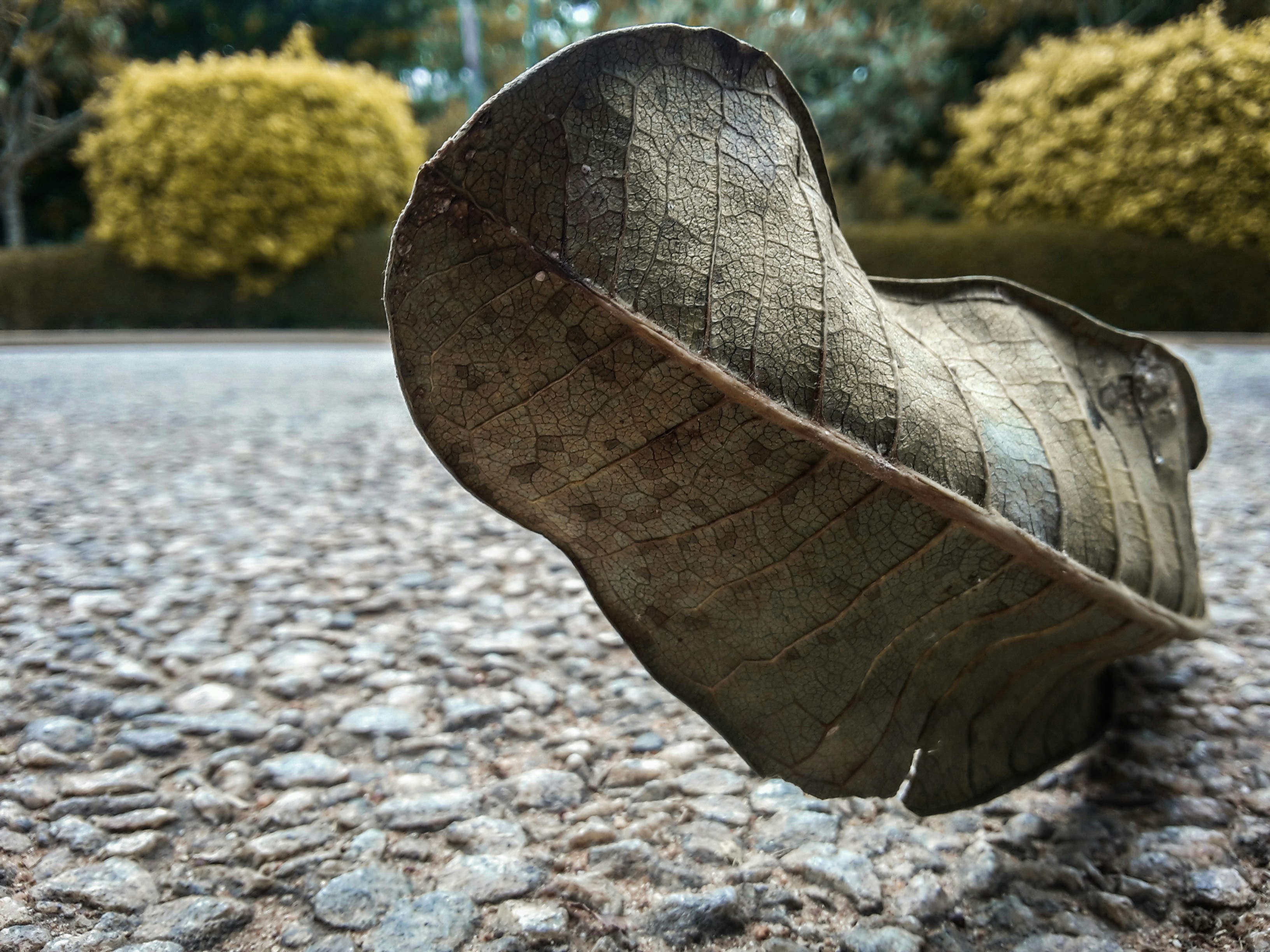 Free Unsplash photo from Duke Dustin