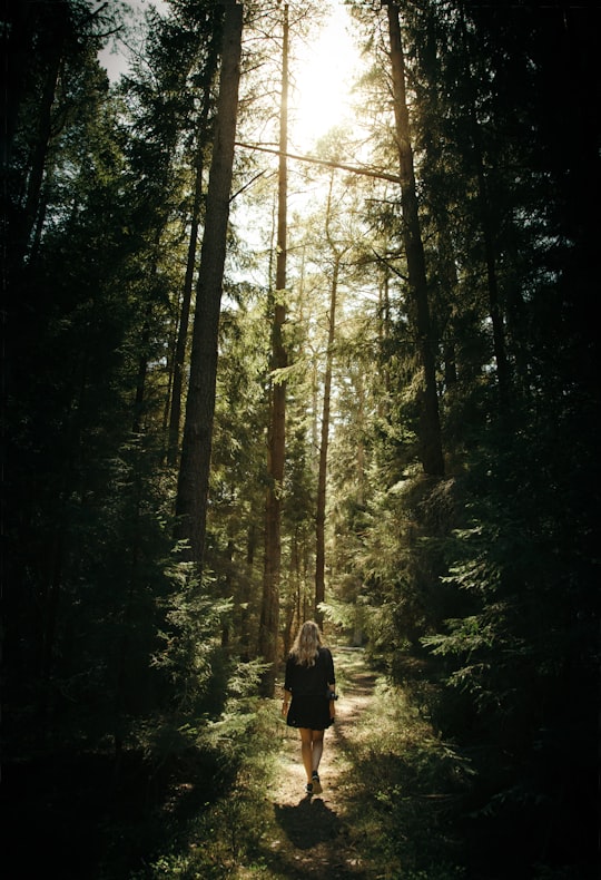 woman walking in the forest in Nynäshamn Sweden