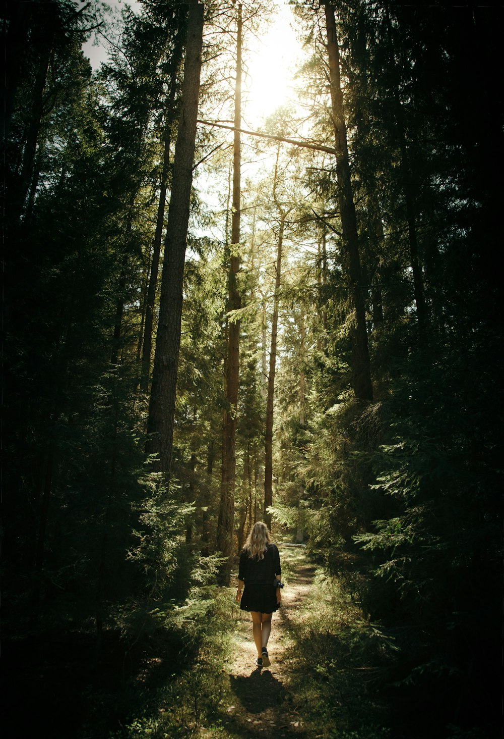Frau, die im Wald spazieren geht