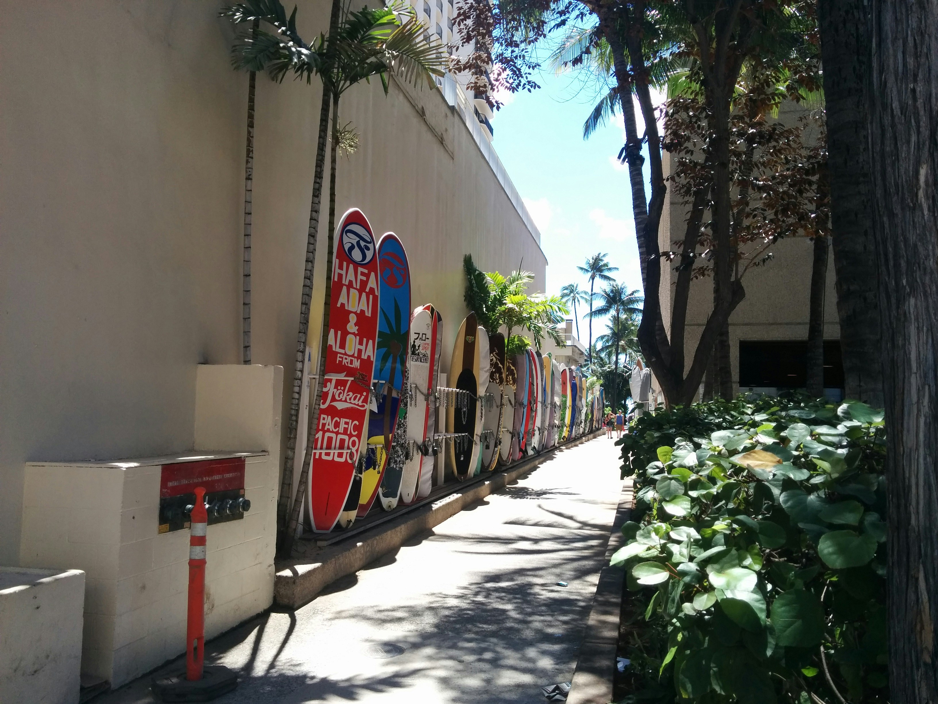 Free Unsplash photo from Issam Biossamu