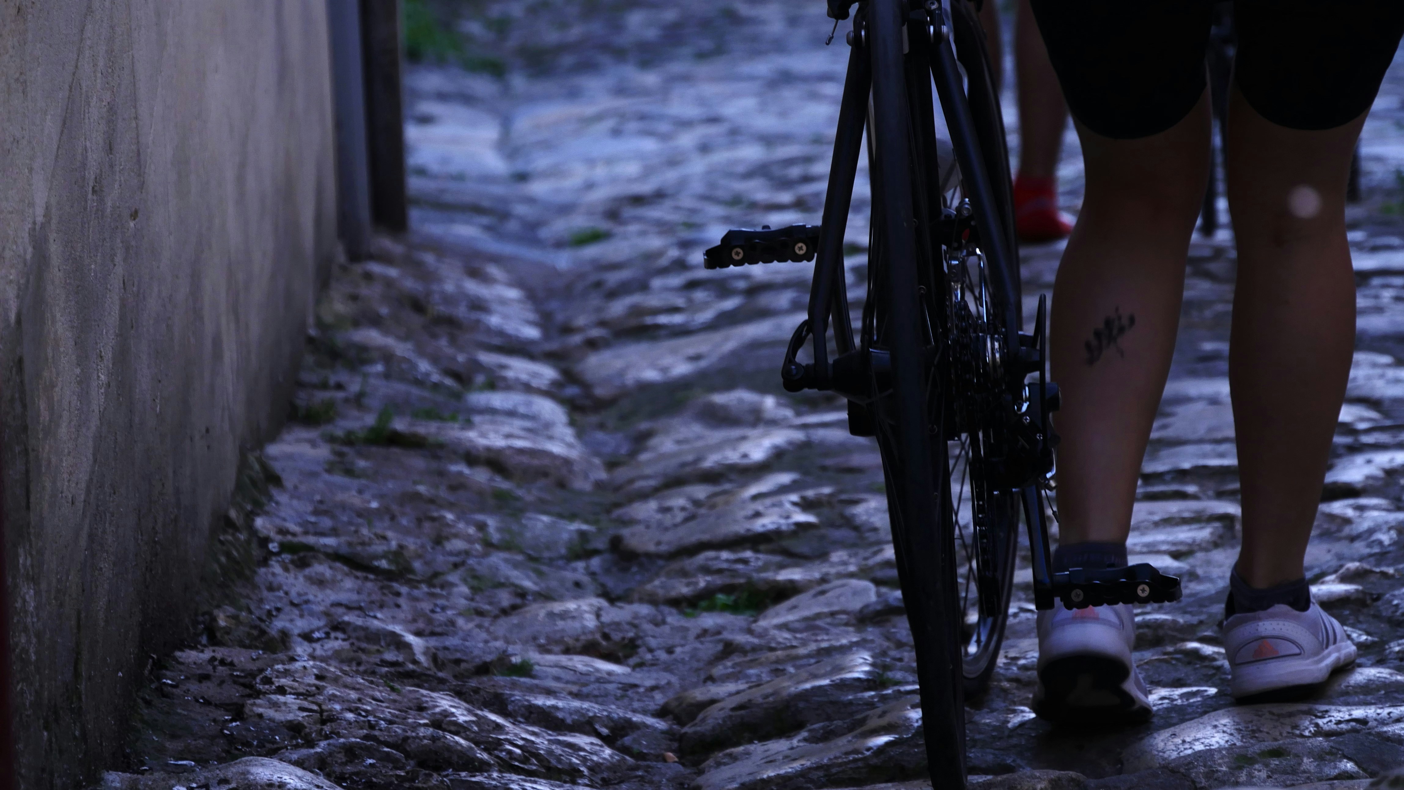 Free Unsplash photo from Wenceslas Lejeune