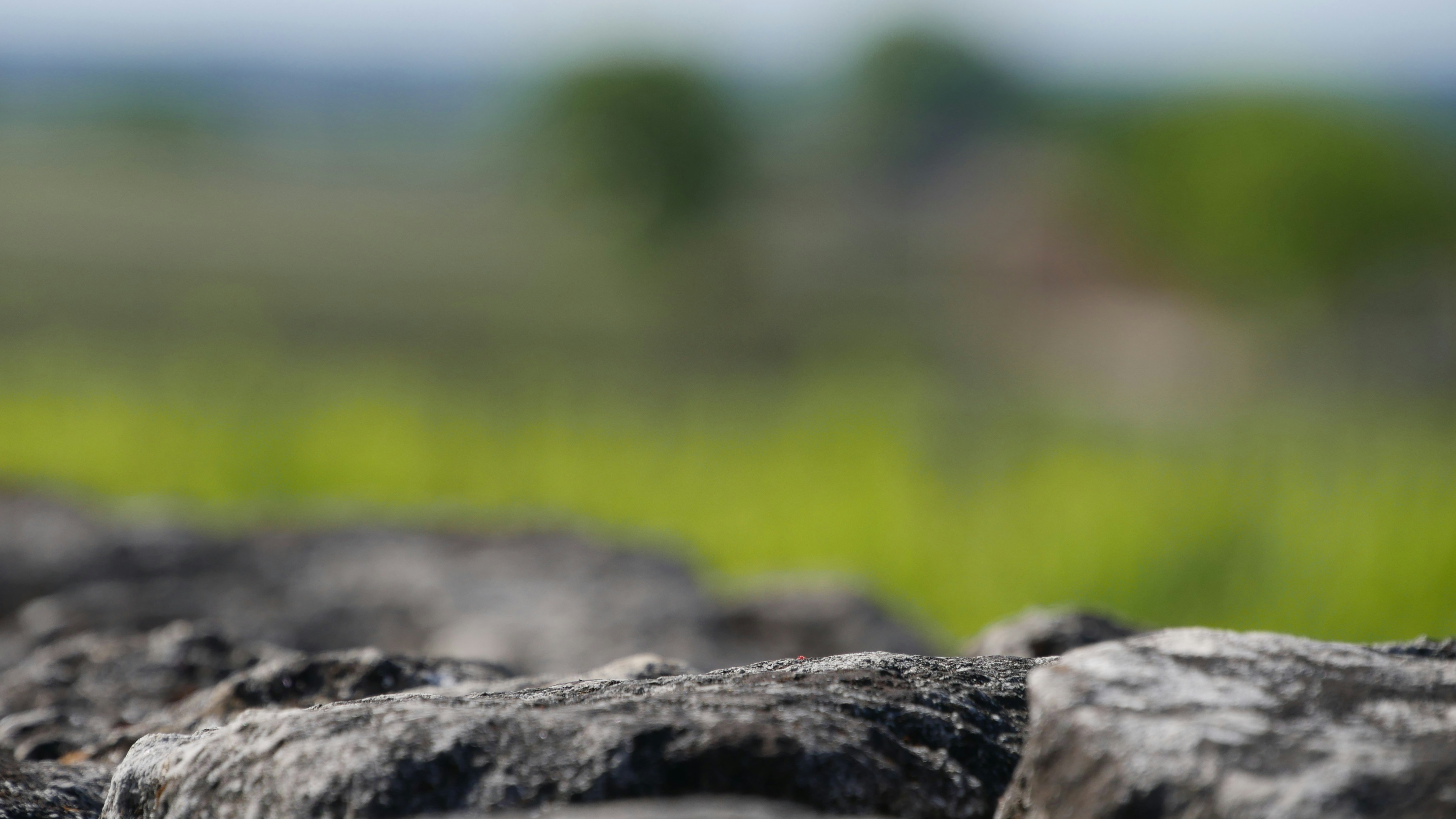 Free Unsplash photo from Wenceslas Lejeune