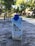 A carton of Vita Coco pure coconut water is placed on a weathered wooden surface. The carton is adorned with images of palm trees and coconuts and features a blue screw cap. In the background, there's a serene park setting with trees, benches, and a pathway.