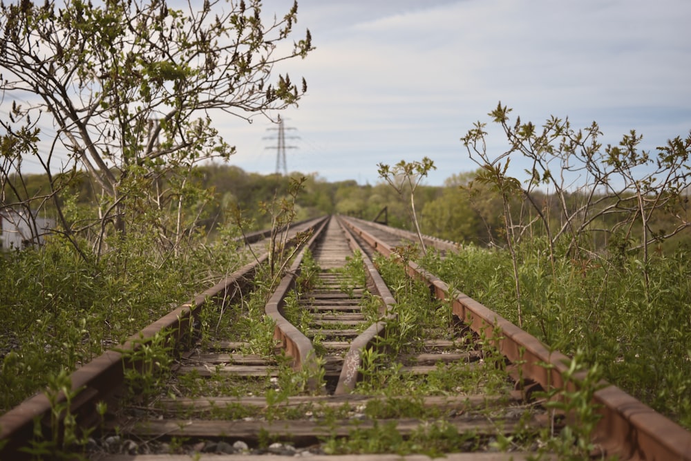 brown wooden train rail surrounded by green grass and trees during daytime