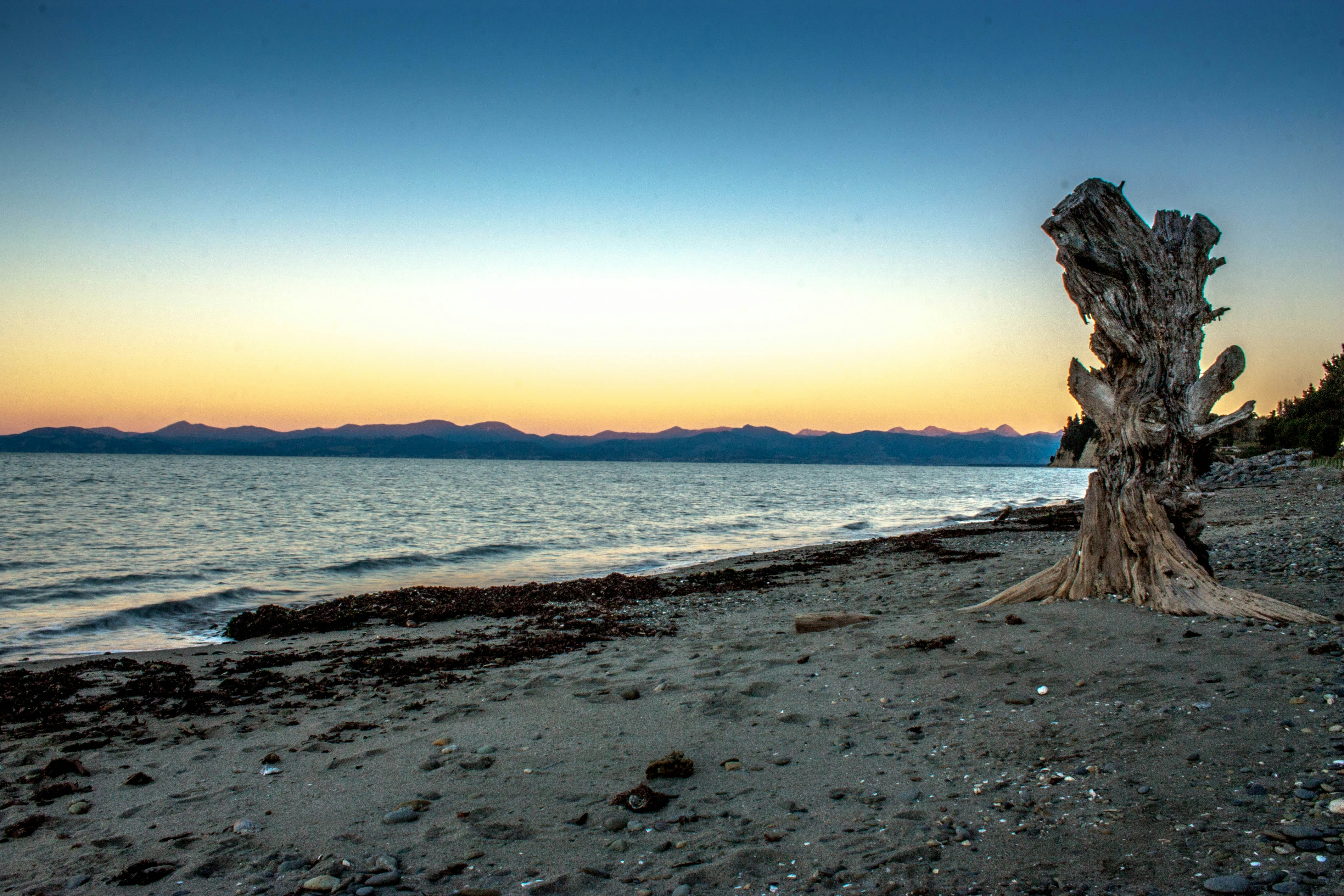 Free Unsplash photo from Arron Redmore