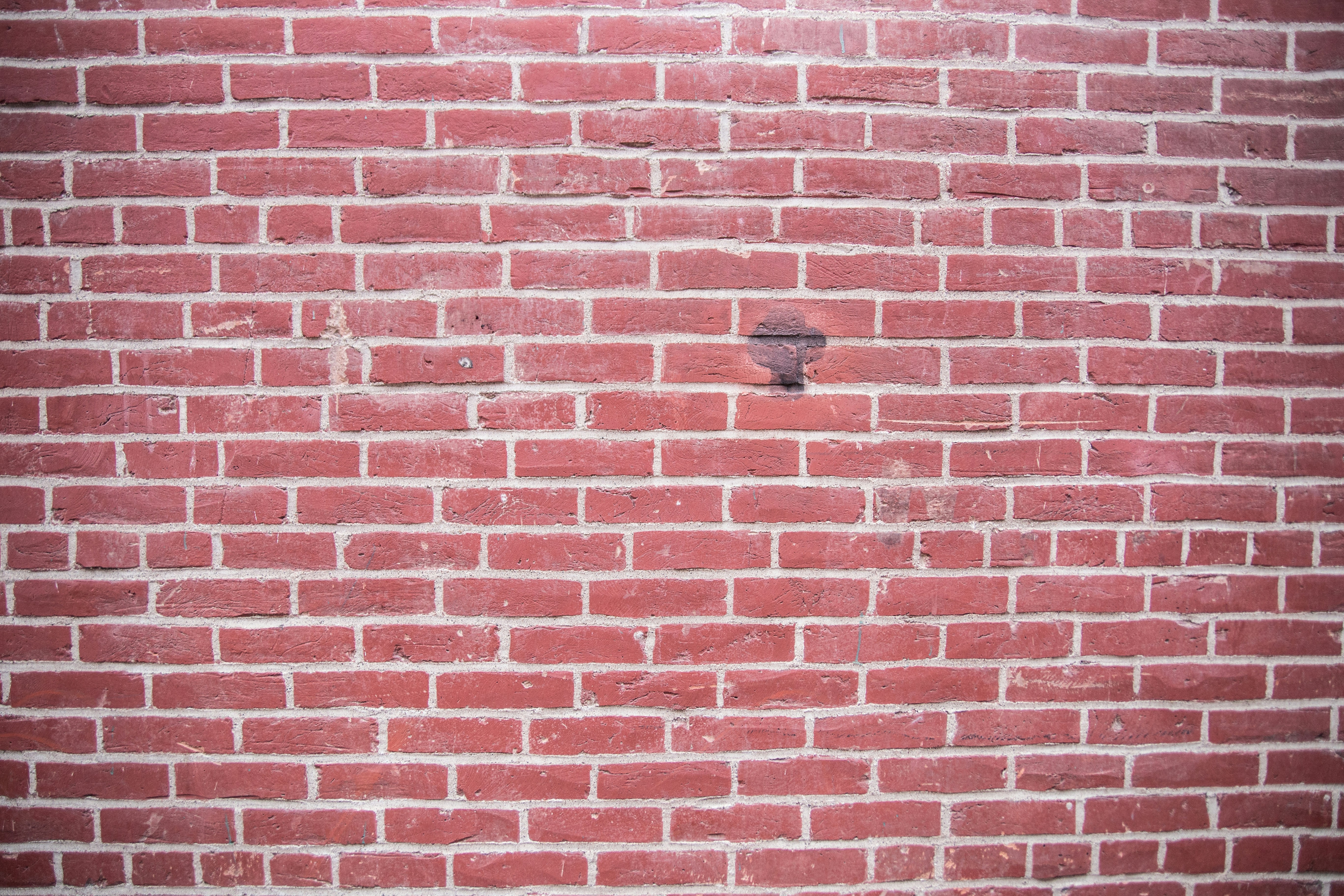 Free Unsplash photo from Caleb Rogers