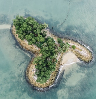 aerial photography of islet