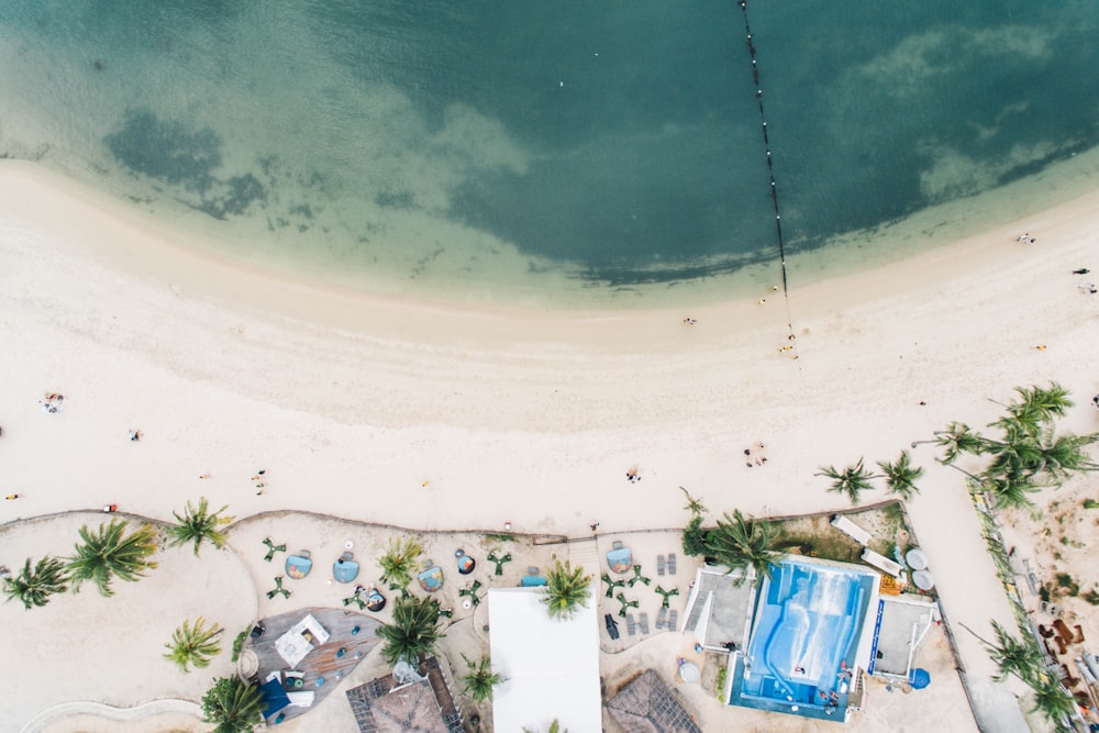 bird's eyeview of seashore