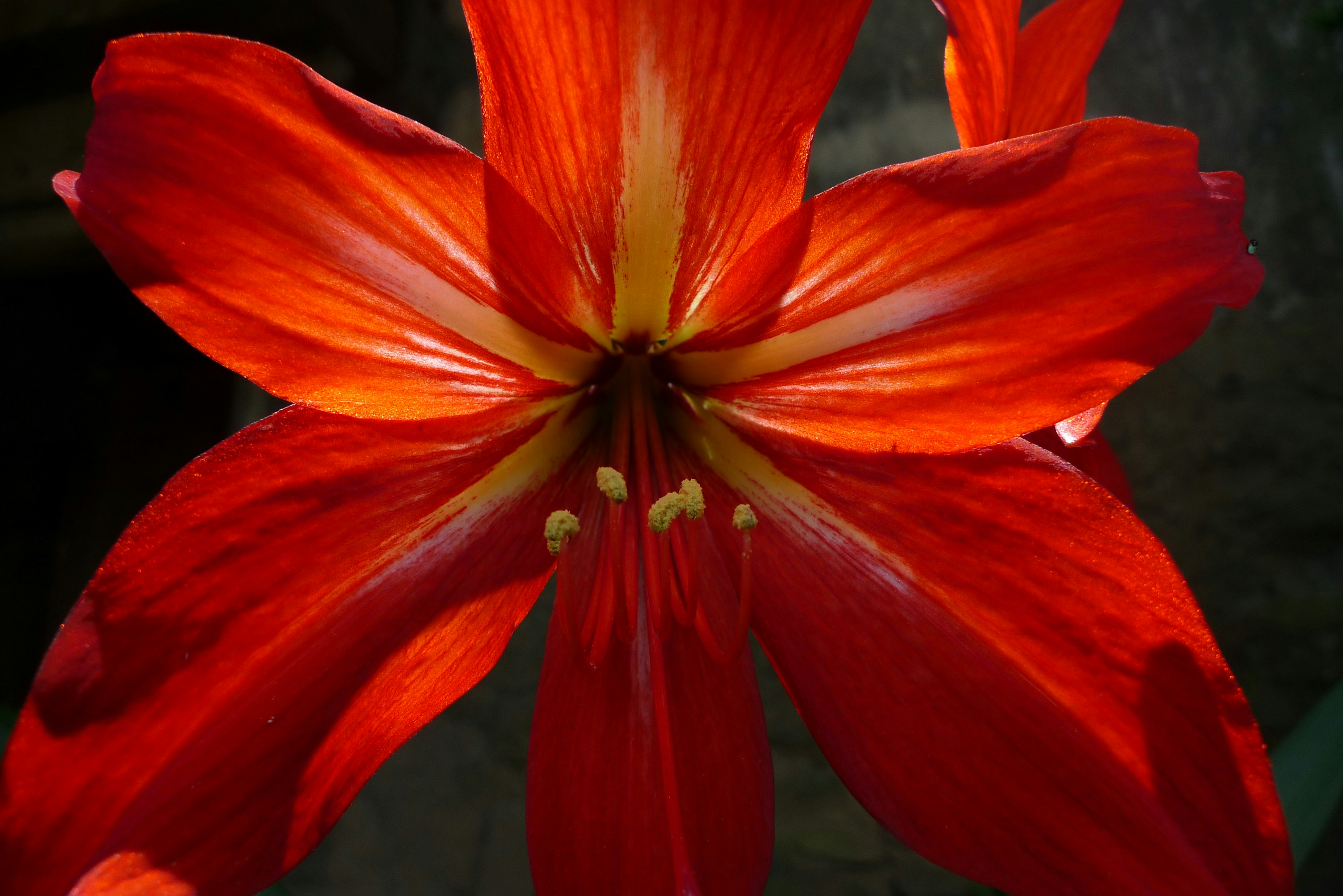 Free Unsplash photo from Yun Liu