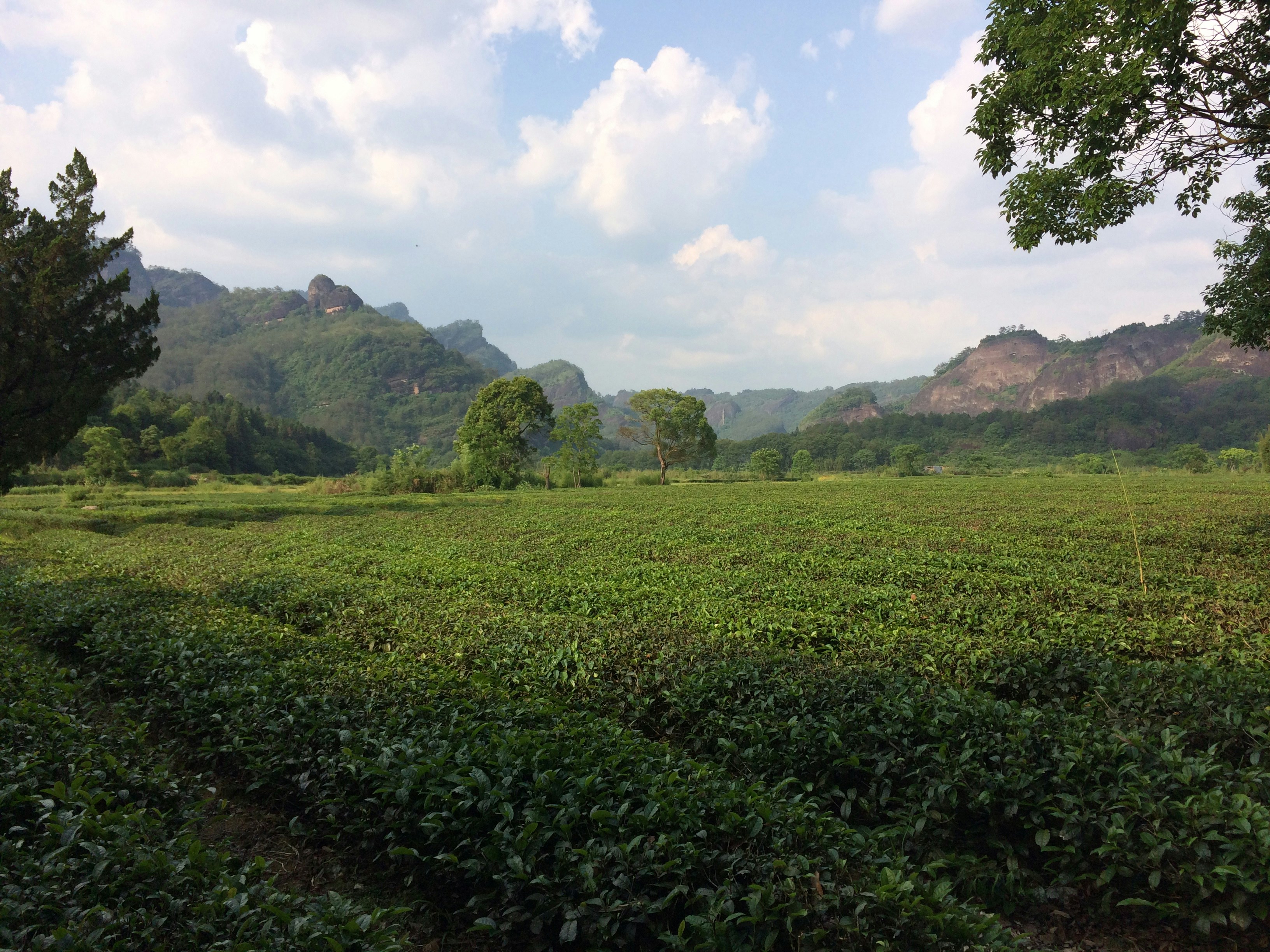 Free Unsplash photo from Yun Liu