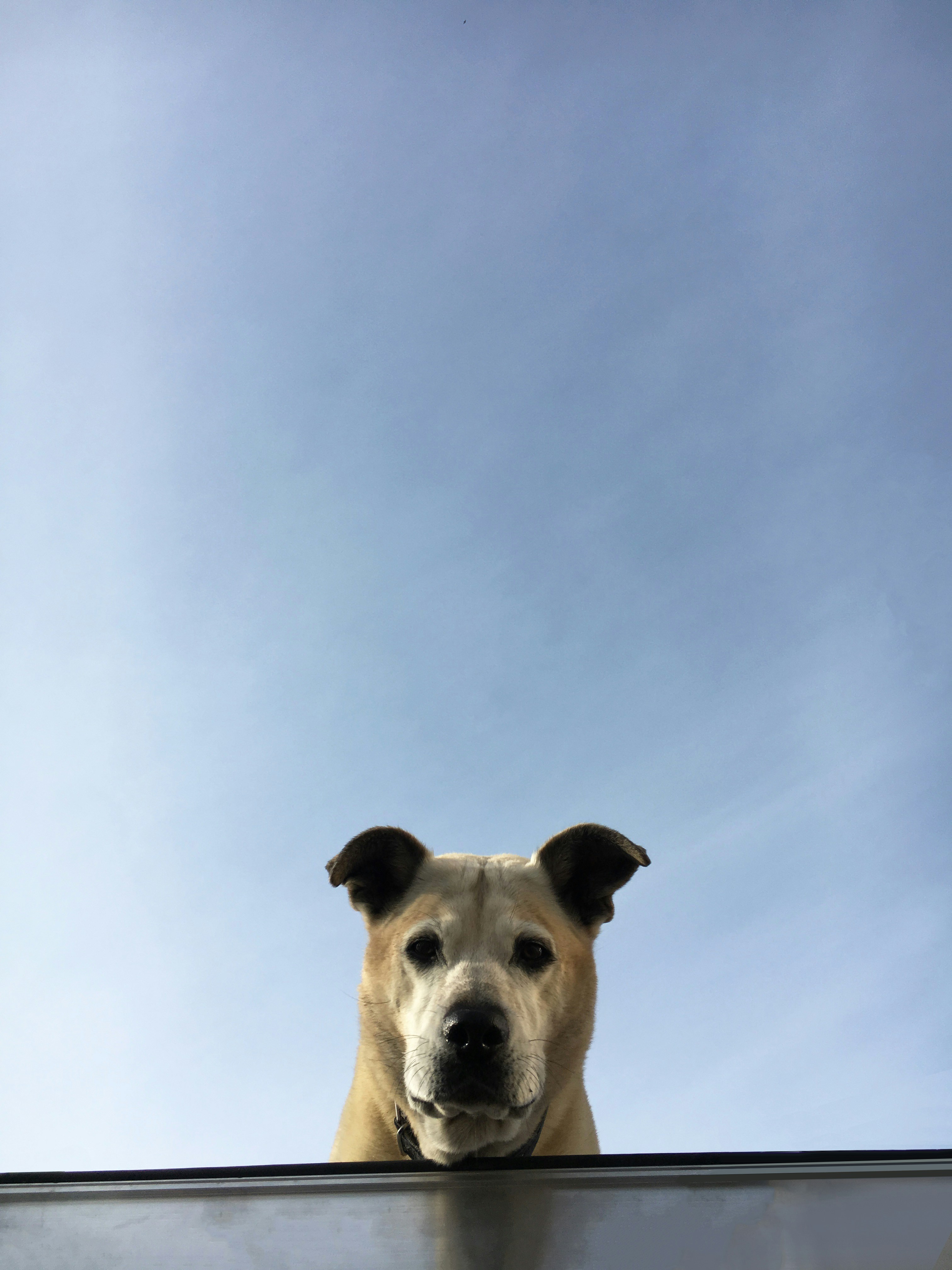 Free Unsplash photo from patrick triato