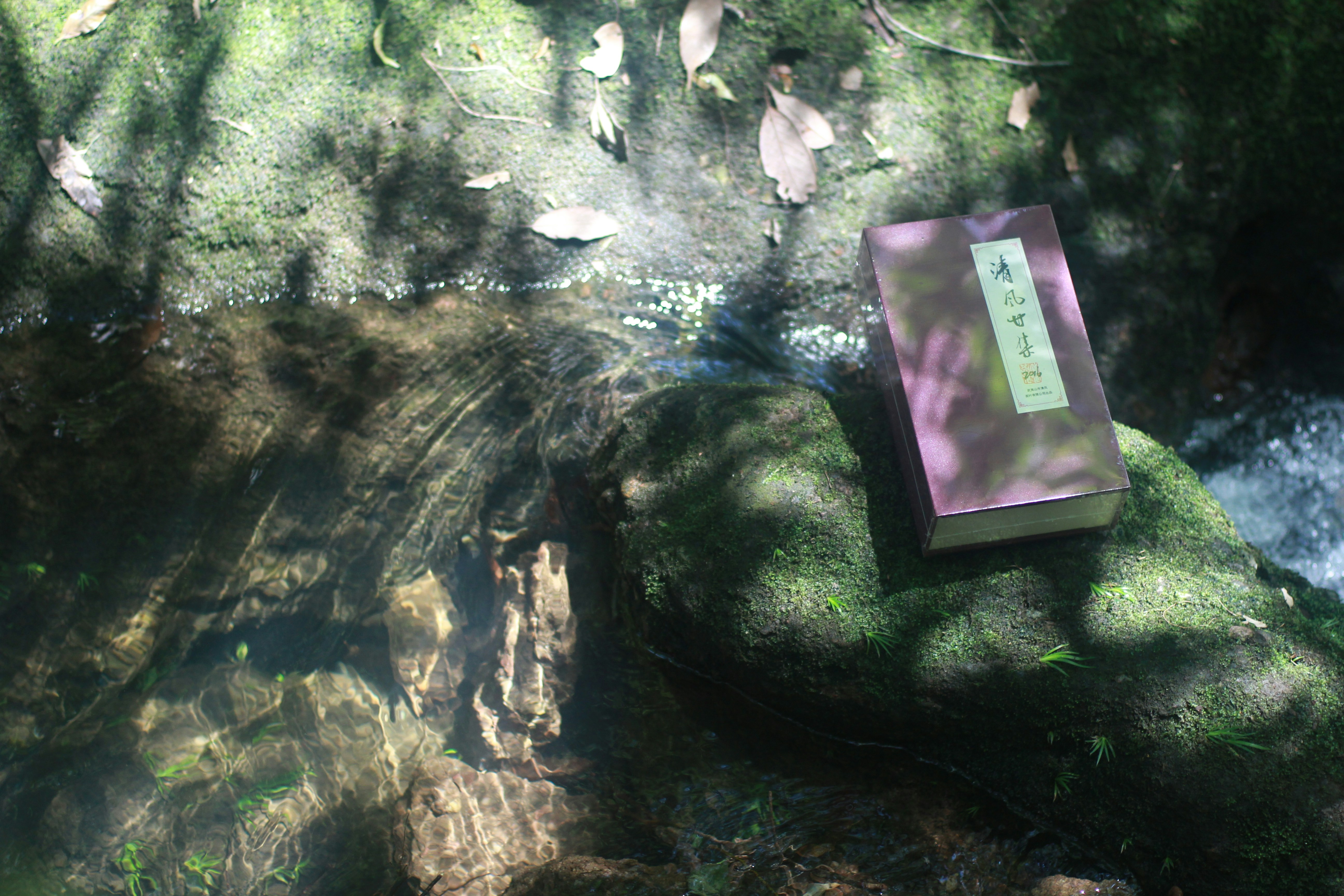 Free Unsplash photo from Yun Liu