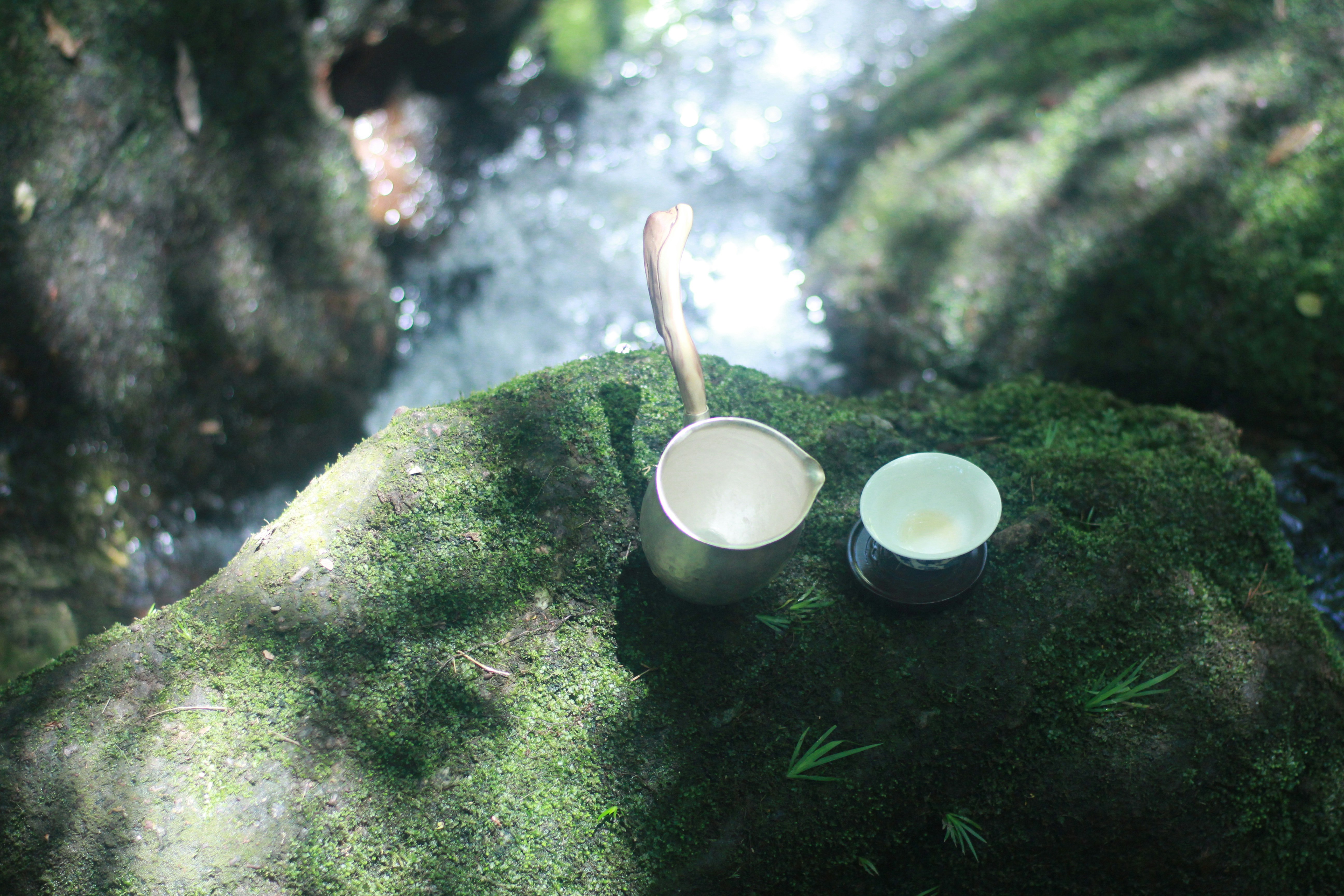 Free Unsplash photo from Yun Liu