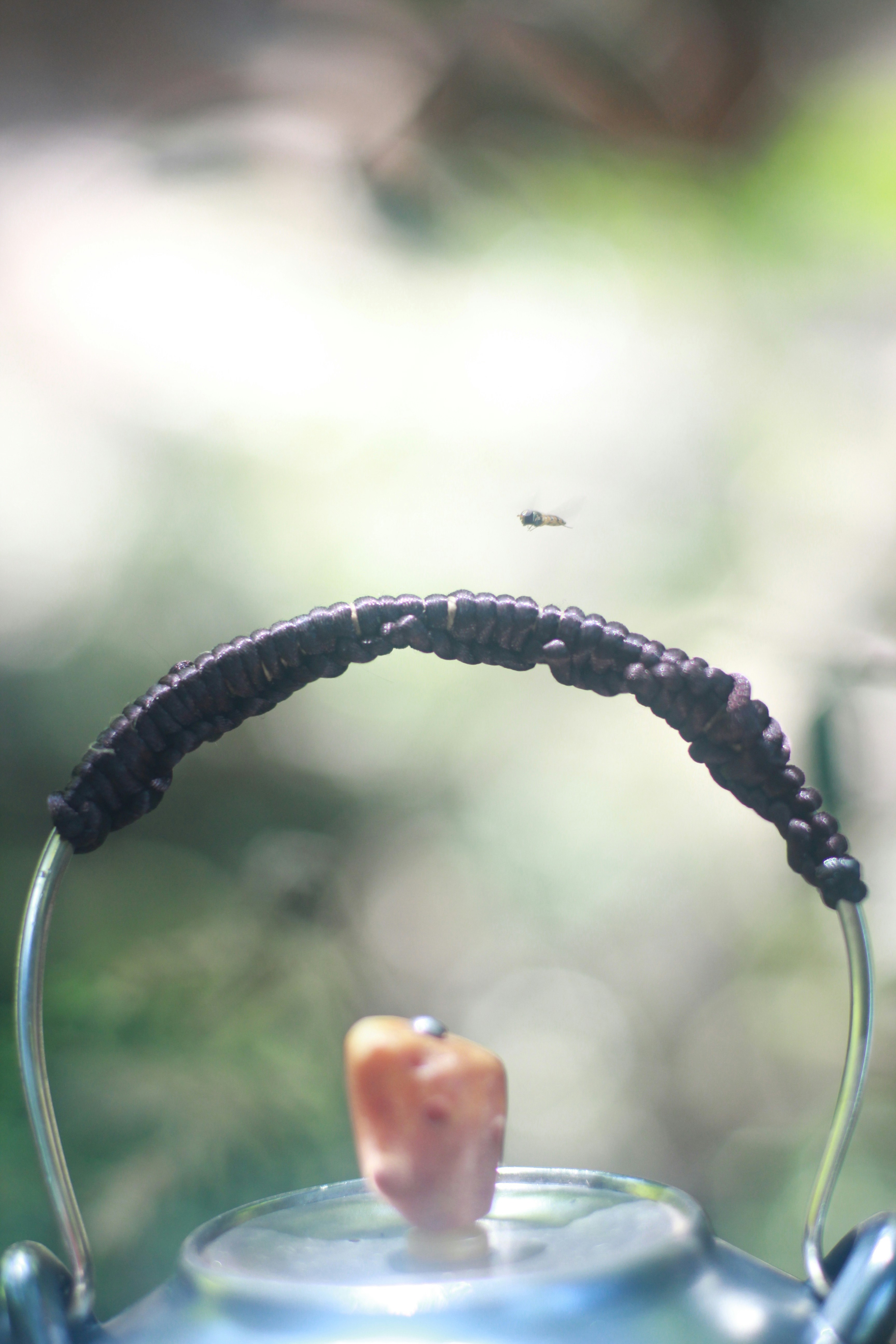 Free Unsplash photo from Yun Liu