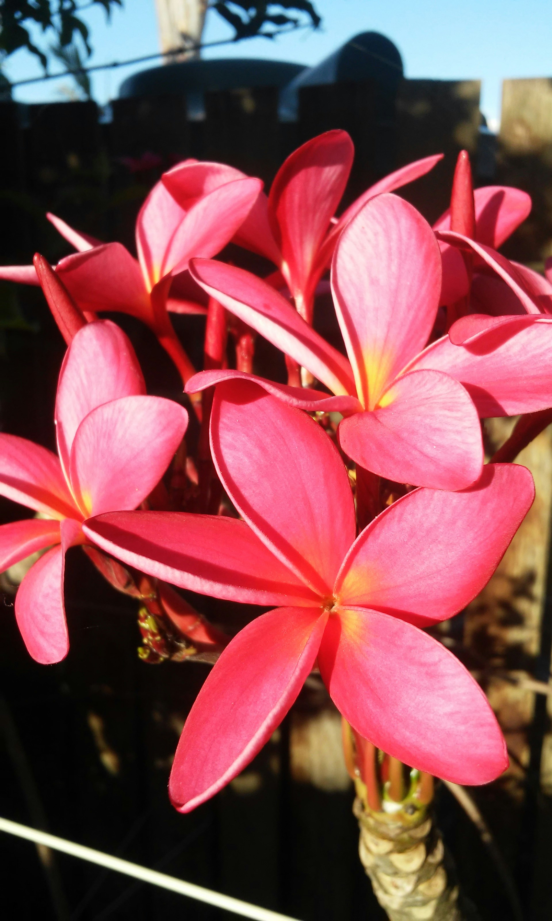 Free Unsplash photo from Tamara Playne