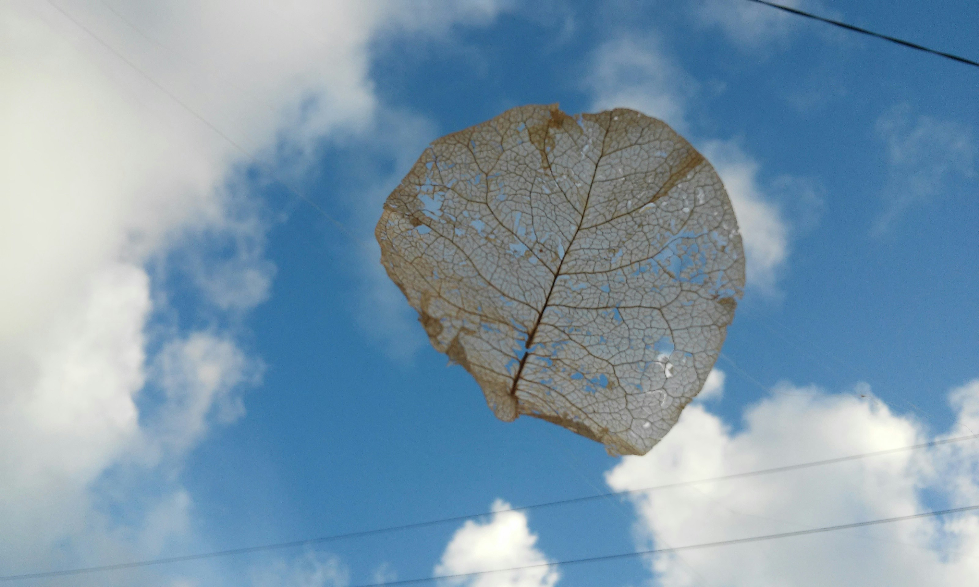 Free Unsplash photo from Tamara Playne